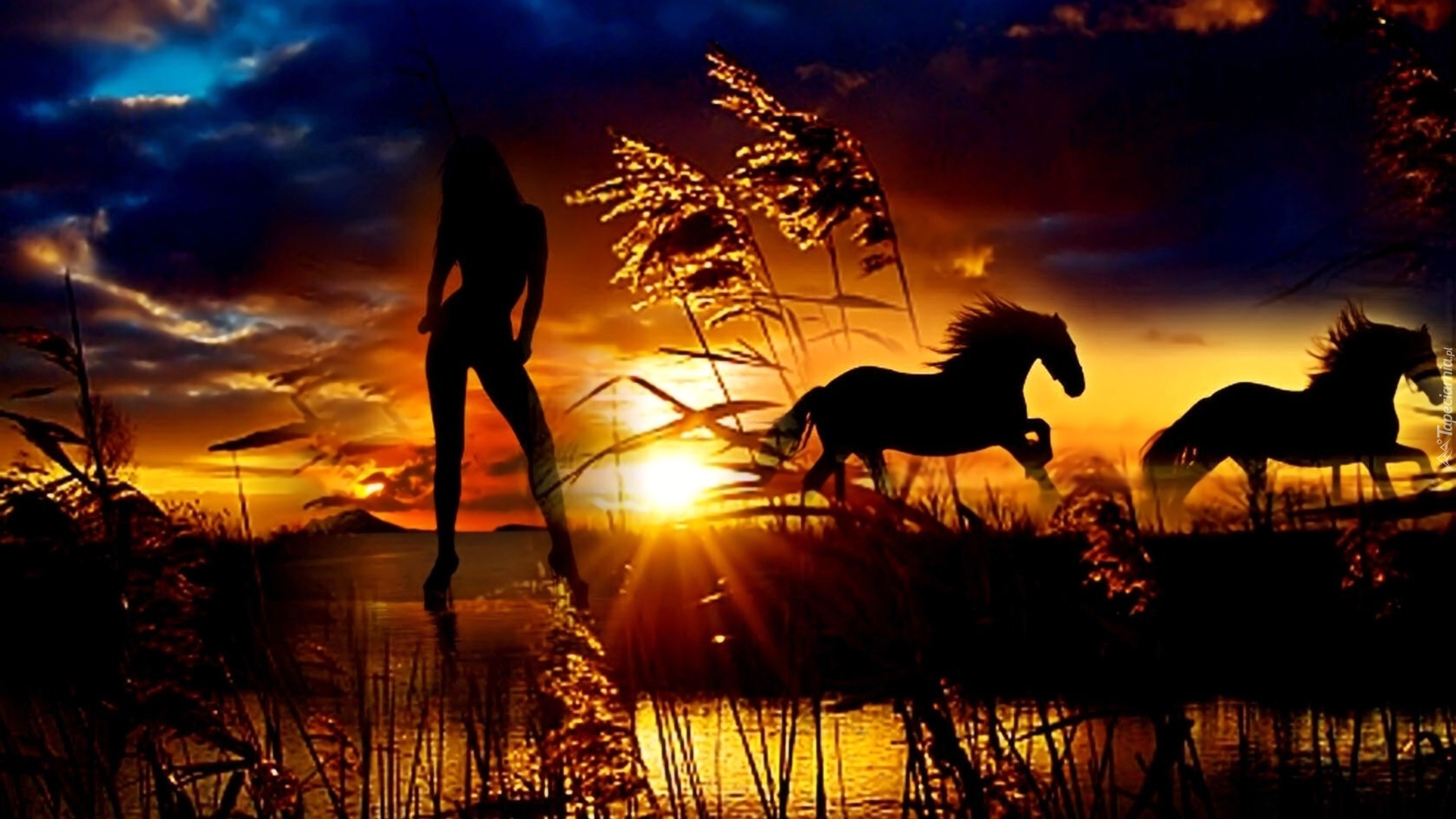 Konie, Zachód, Słońca, Kobieta