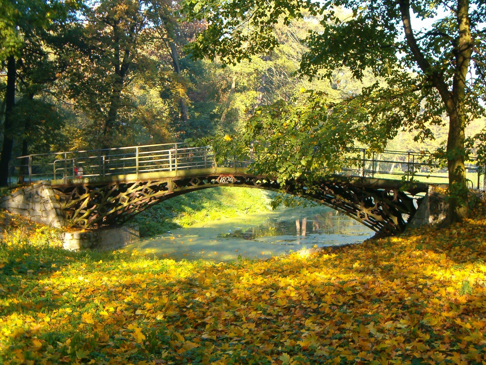 Most, Jesień, Drzewa