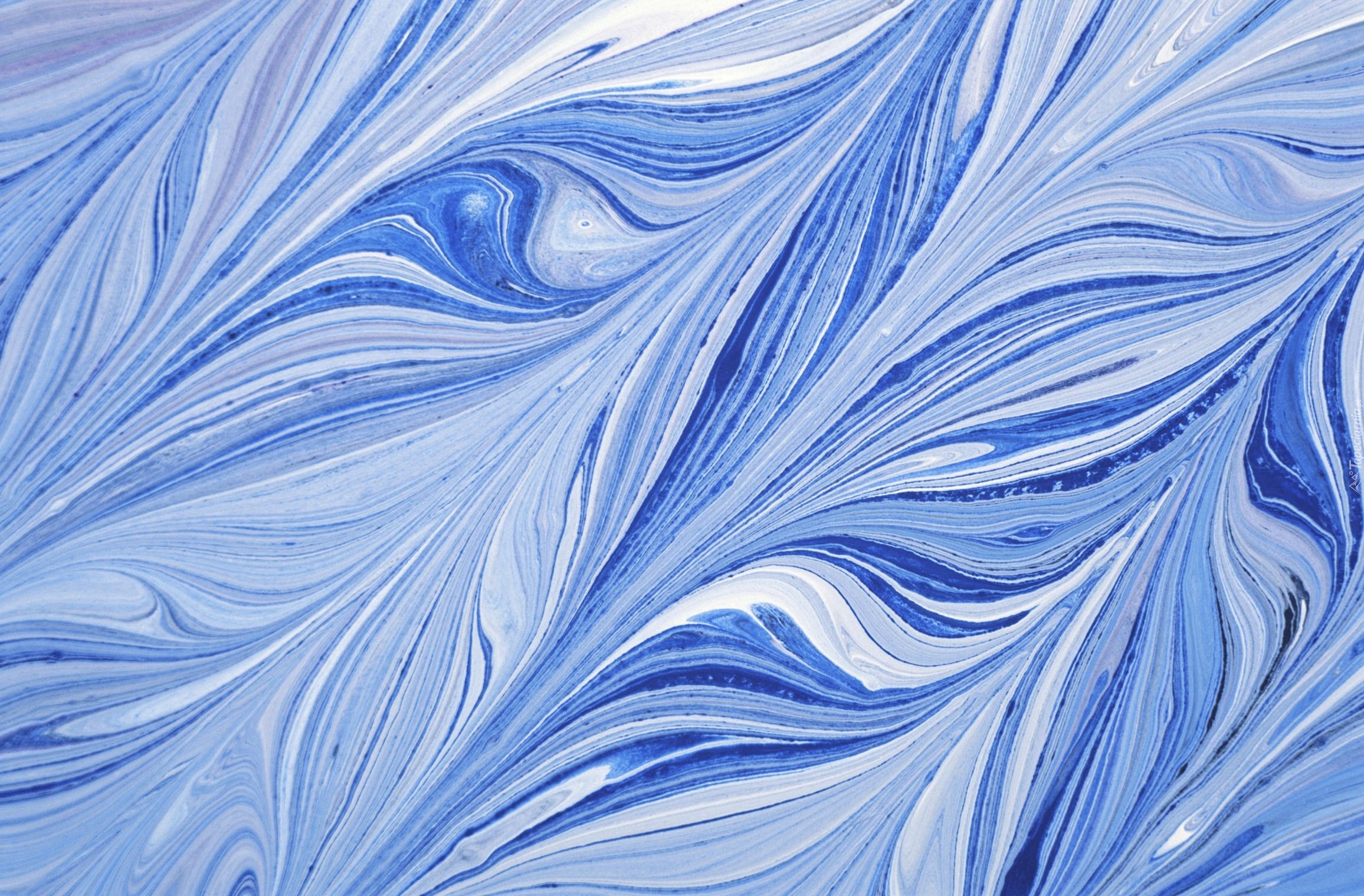 Niebiesko, Białe, Abstrakcyjne, Wzory