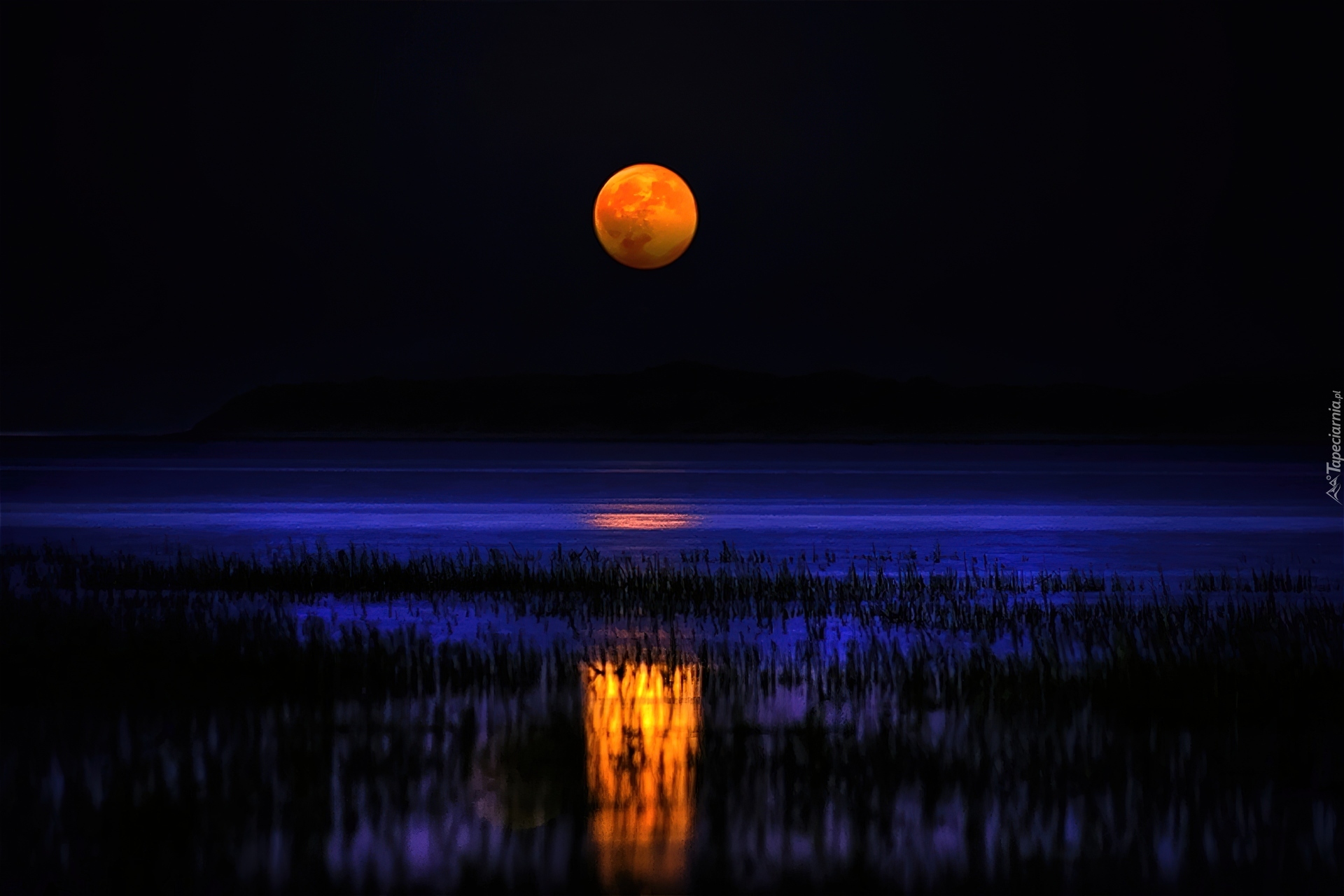 Каким цветом луна на небе. Луна вечером. Ночь Луна. Отражение Луны. Полнолуние.