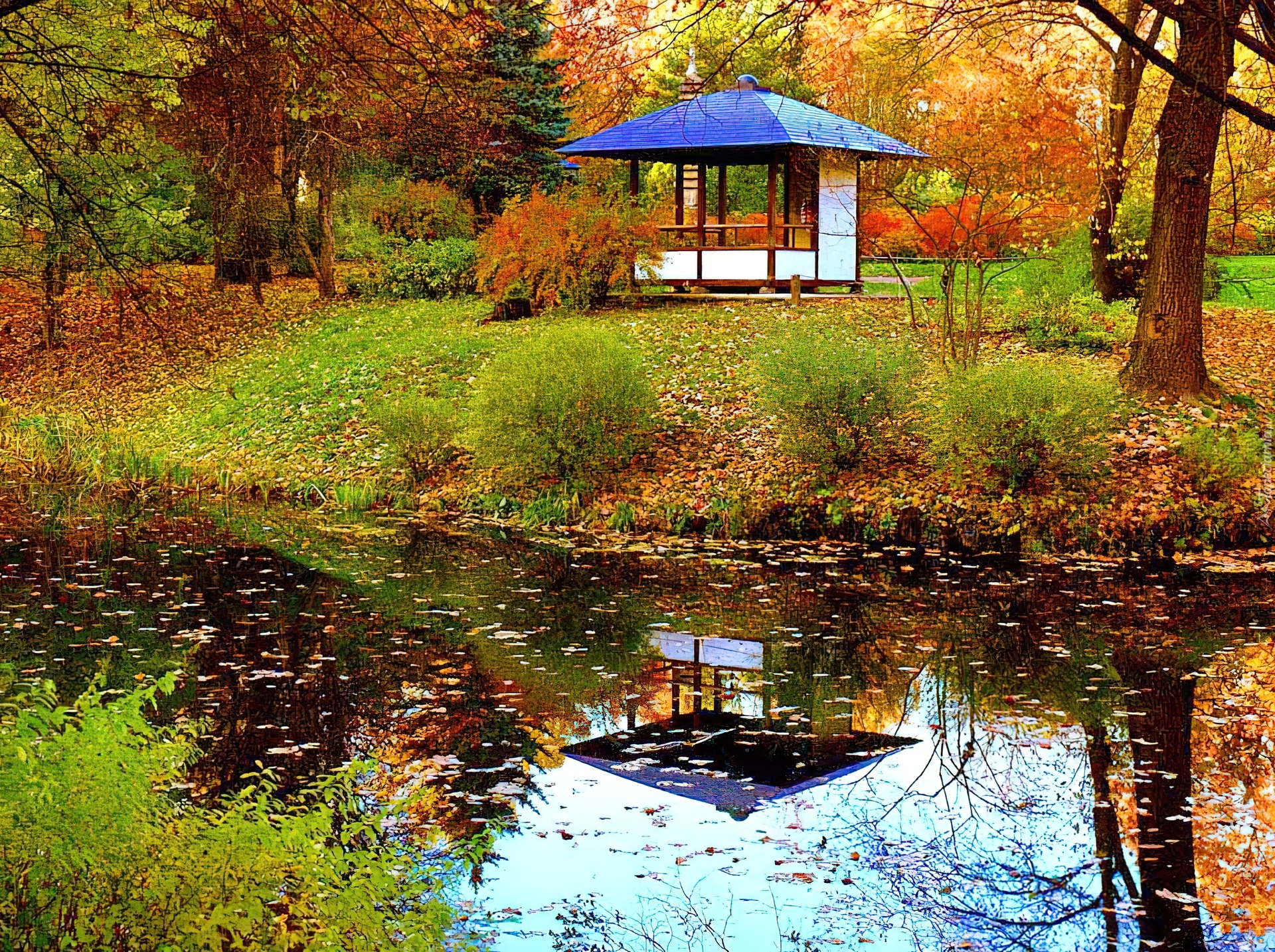 Jesień, Park, Rzeka, Odbicie, Lustrzane