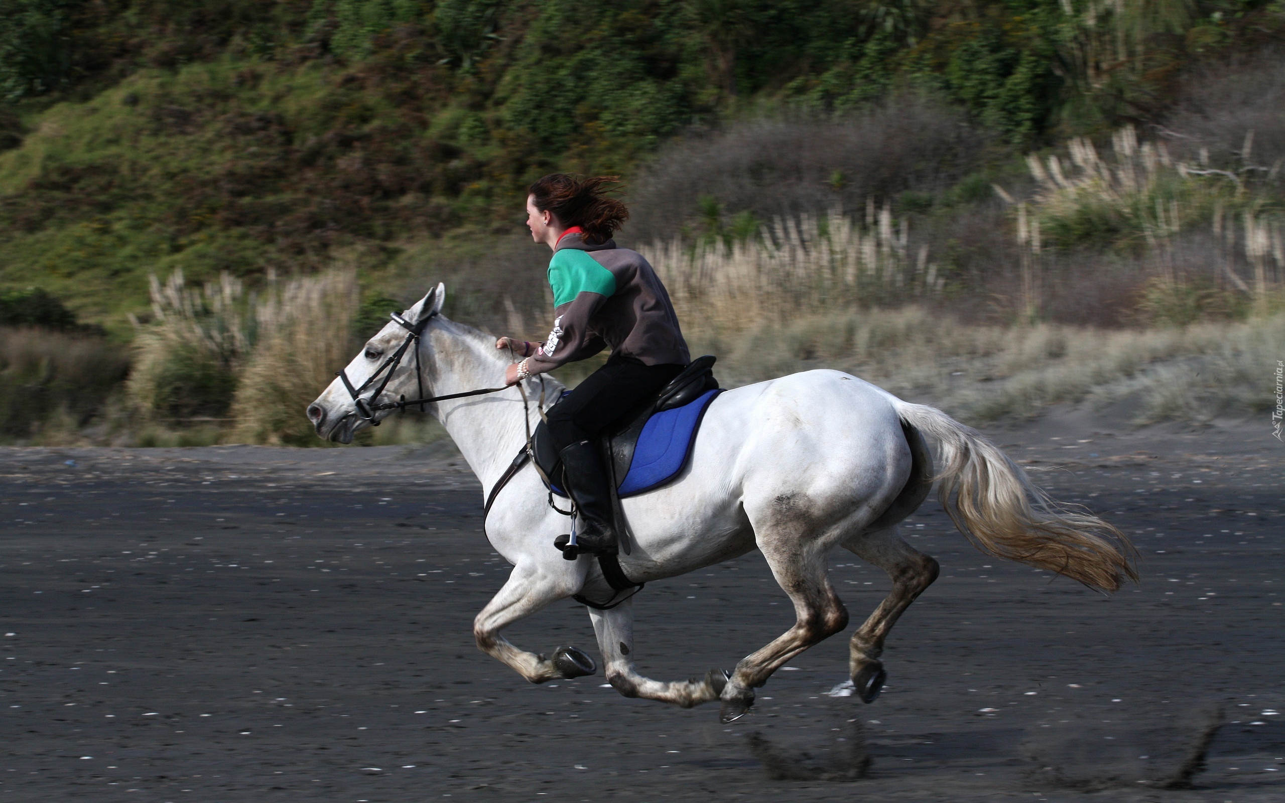 Koń, Kobieta, Galop