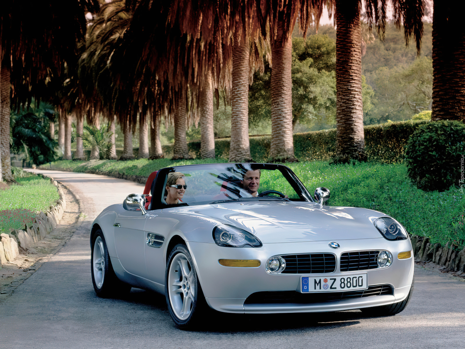 BMW Z8, Palmy