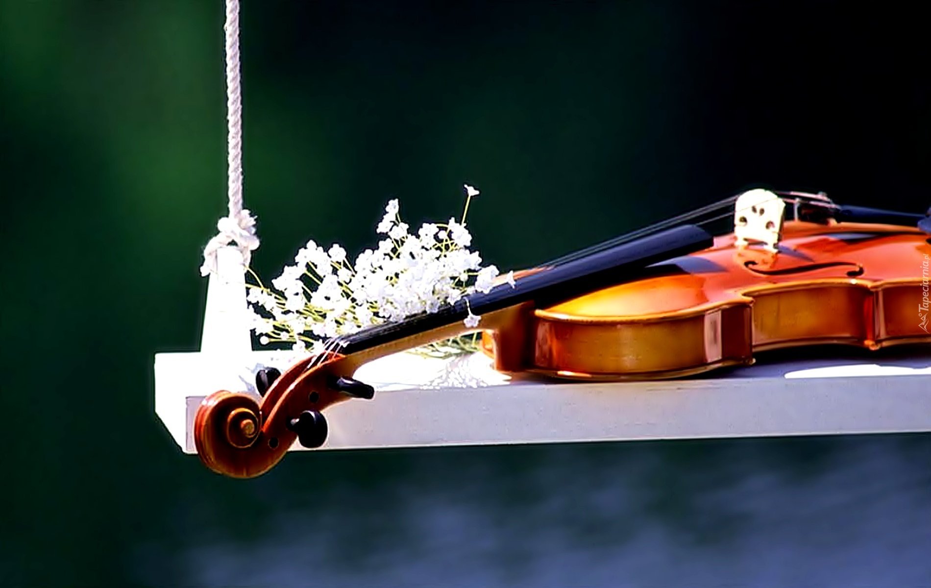 Скрипка самое красивое