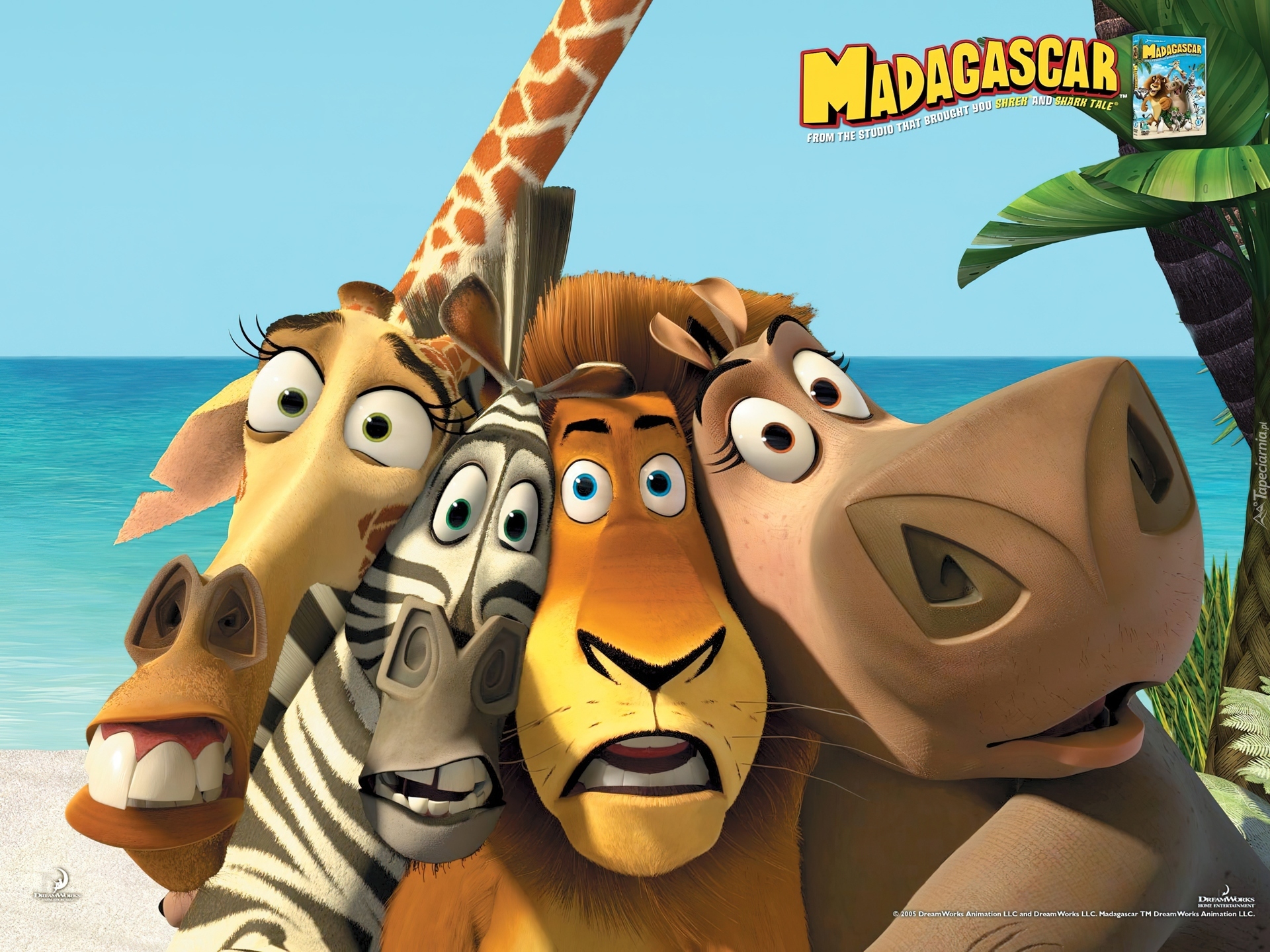 Madagaskar, Żyrafa, Zebra, Lew, Hipopotan