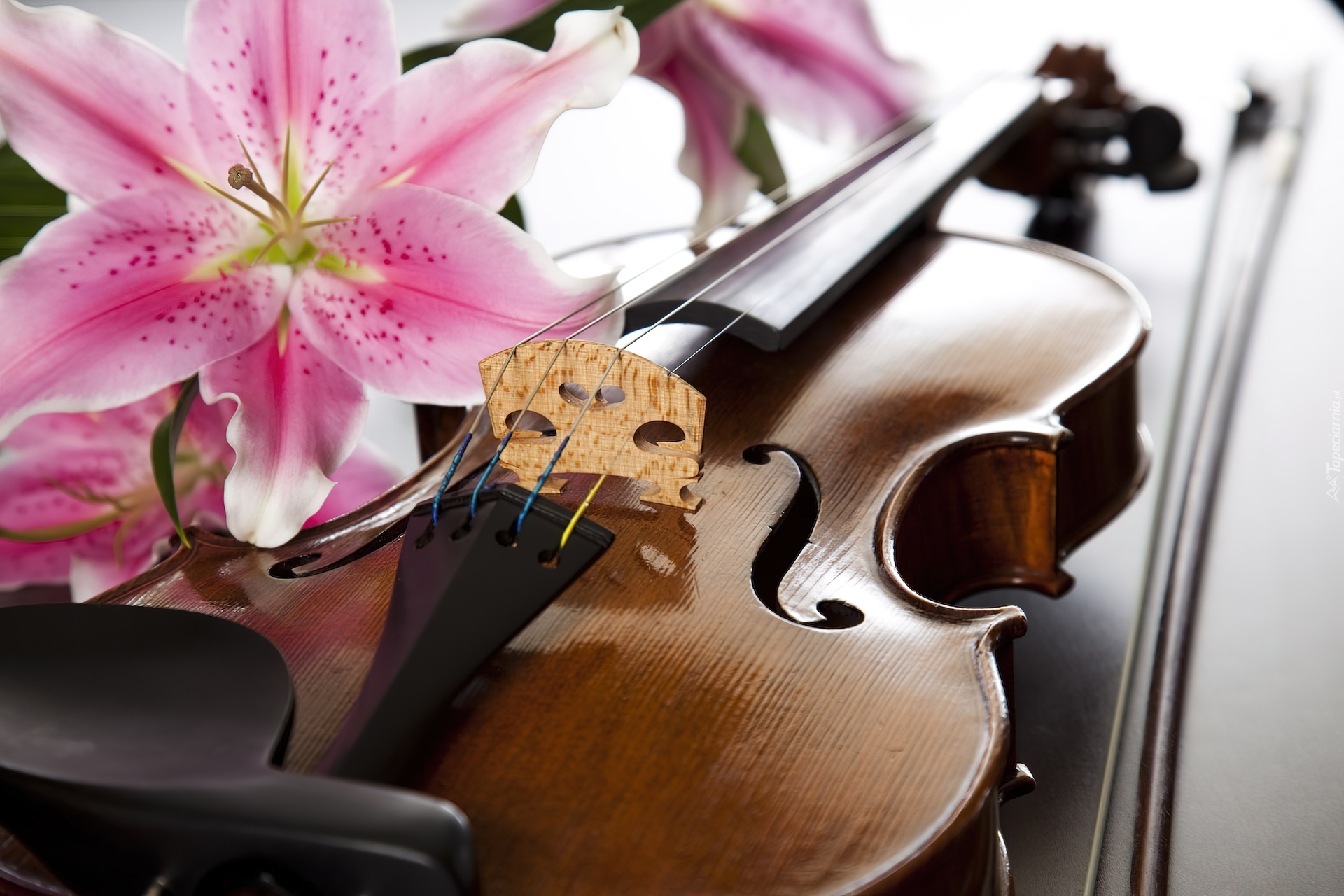 Рингтоны на телефон скрипка. Скрипка. Скрипка и цветы. Музыкальные инструменты и цветы. Скрипка картинка.