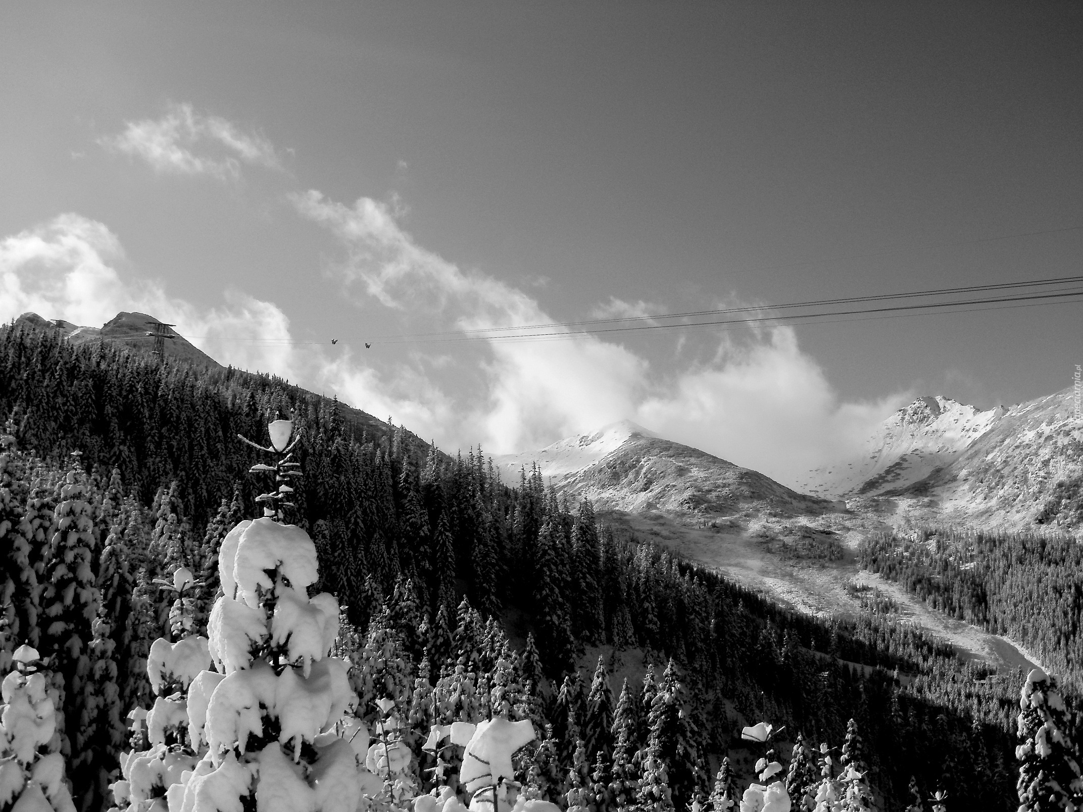 Tatry