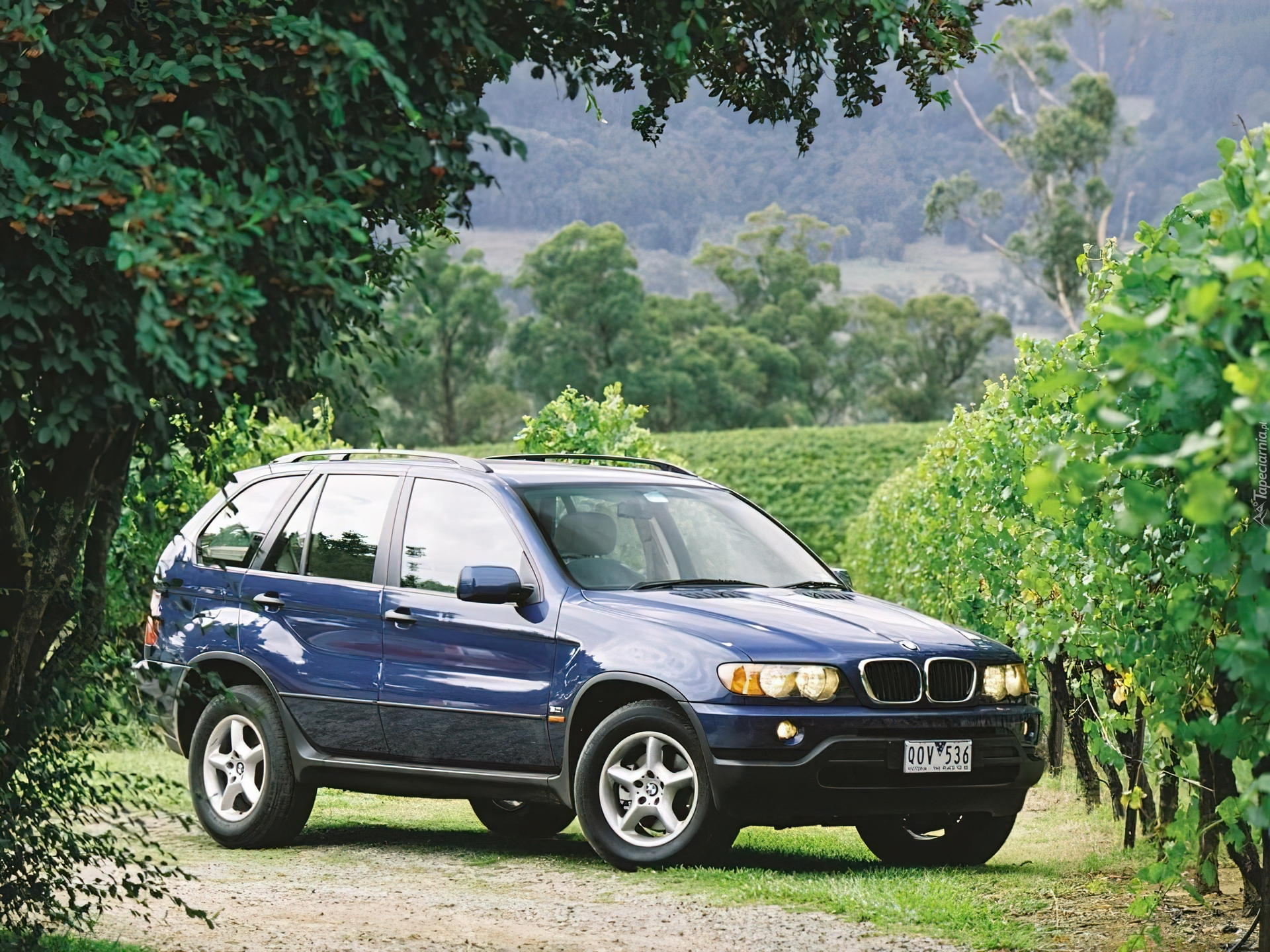 Granatowy, Bmw X5