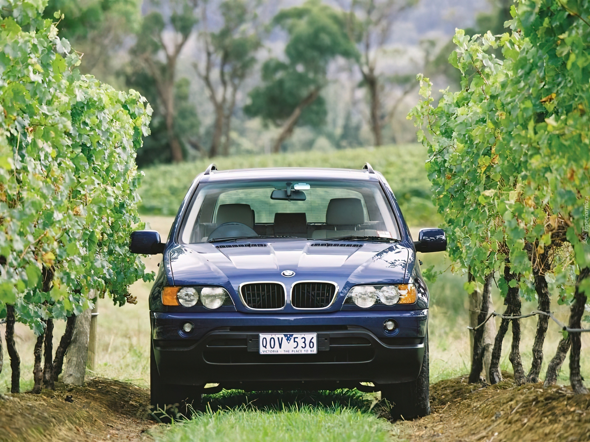 Bmw X5, Przód