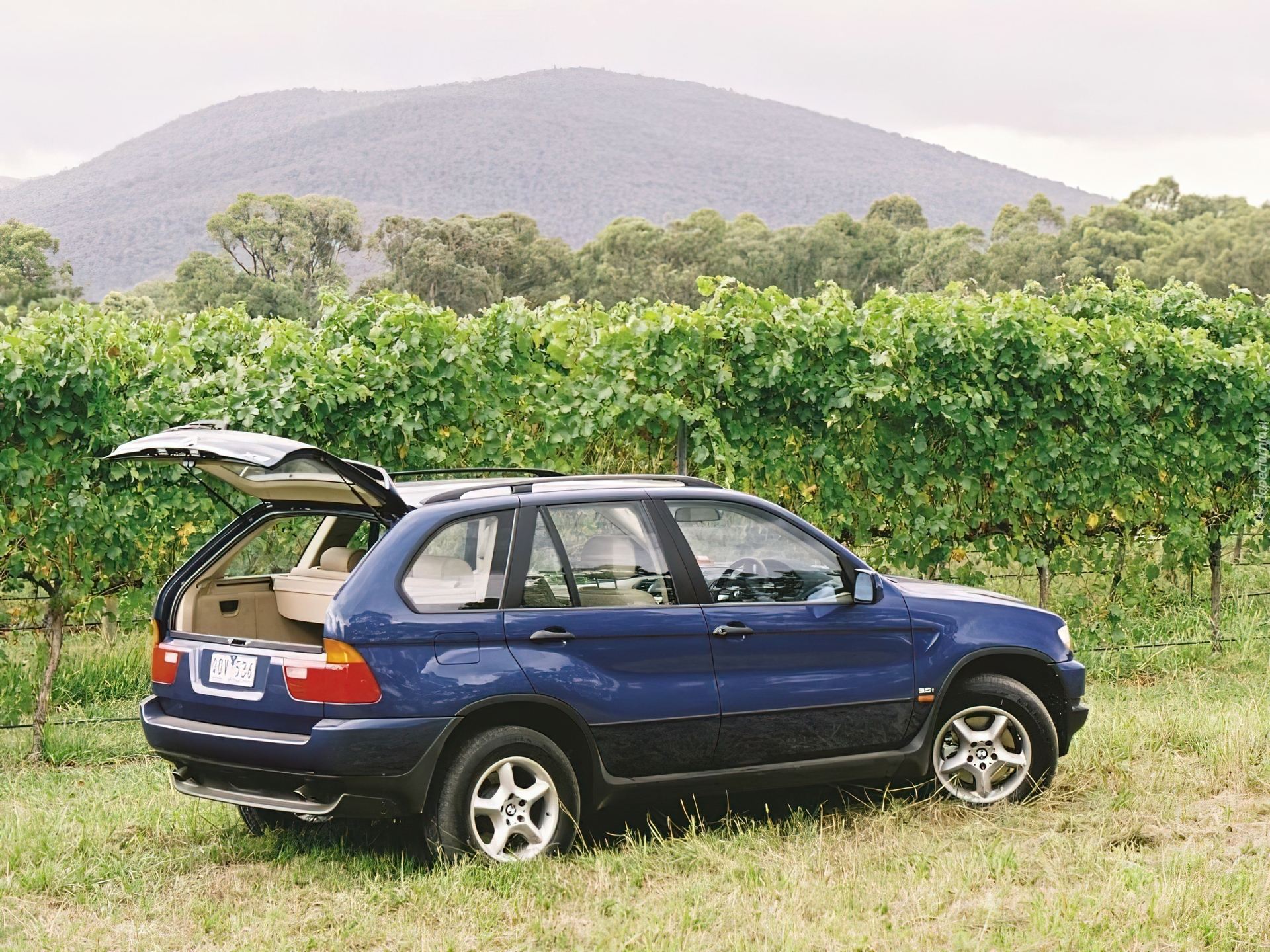 Bmw X5, E53