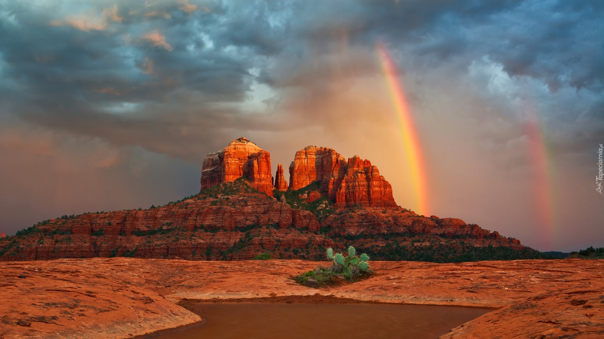 Cathedral Rock, Sedona, Arizona бесплатно