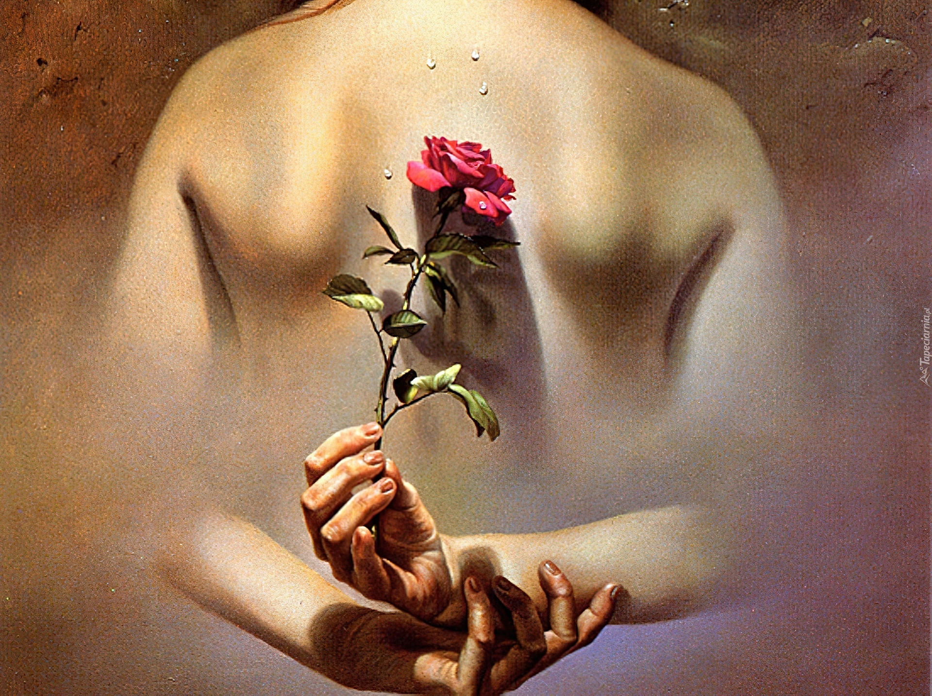 Plecy, Róża, Dłonie