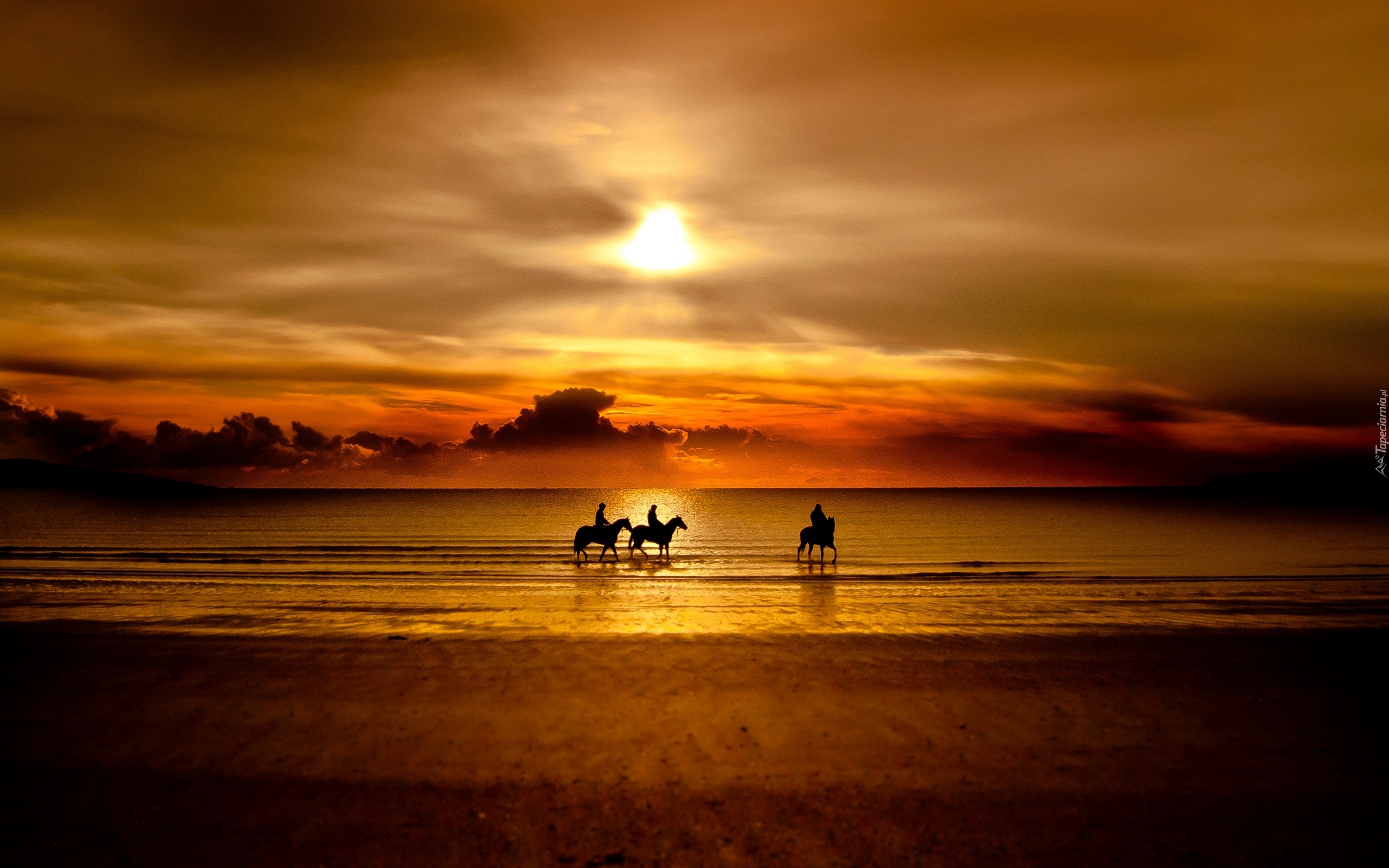 Konie, Morze, Plaża, Zachód, Słońca