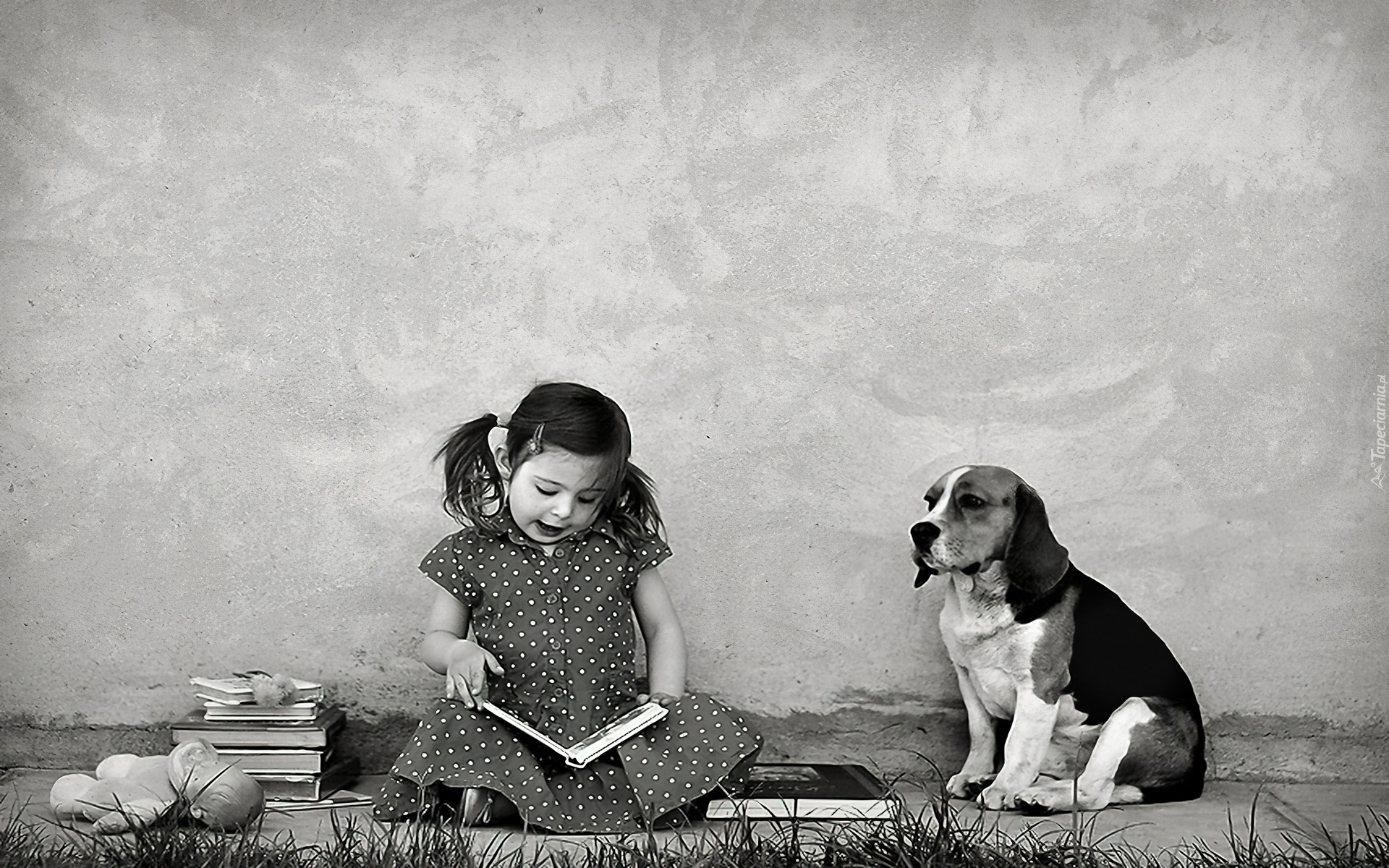 Dziewczynka, Książki, Pies, Beagle
