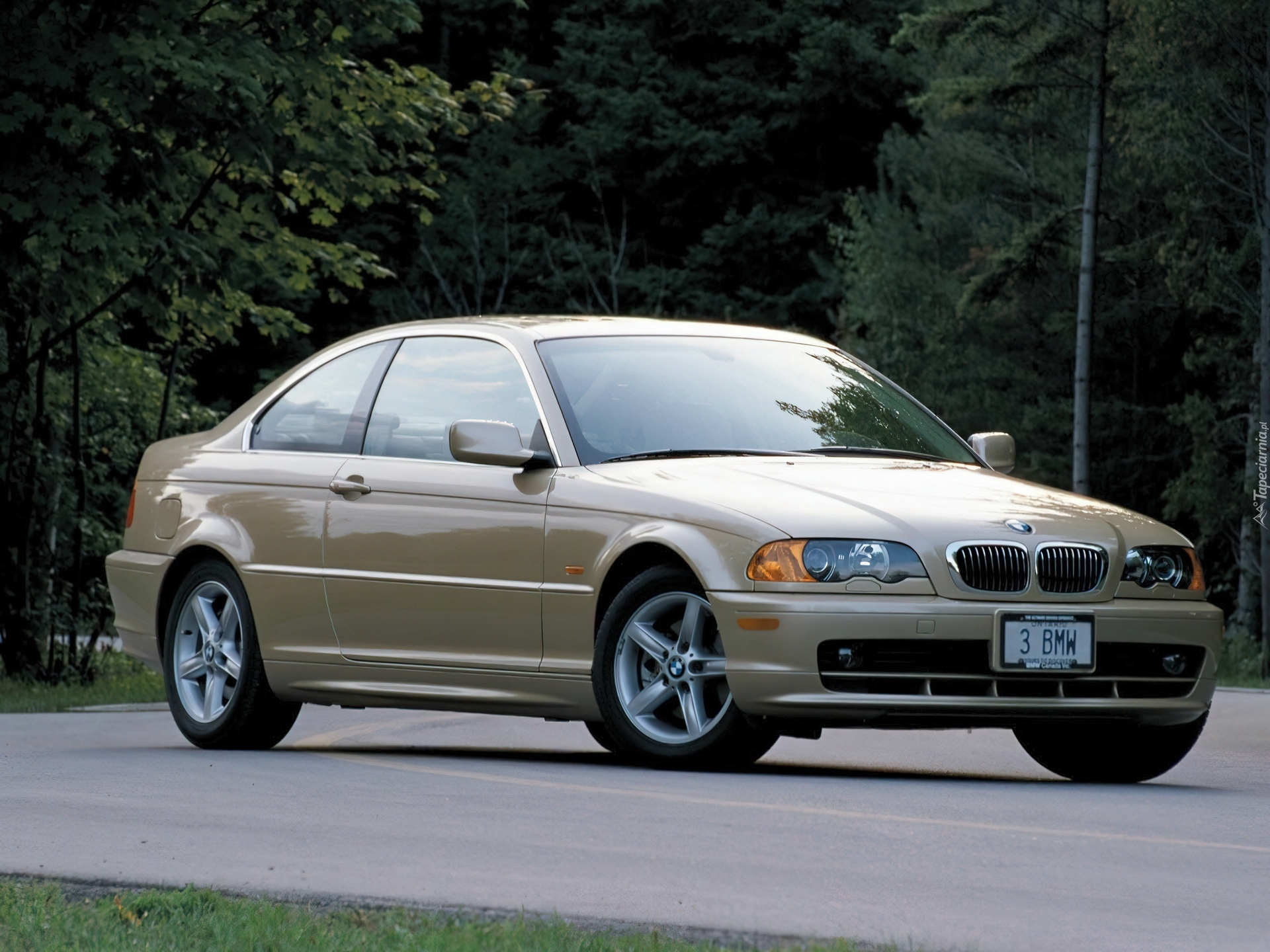 Złote, BMW 3, E46, Coupe