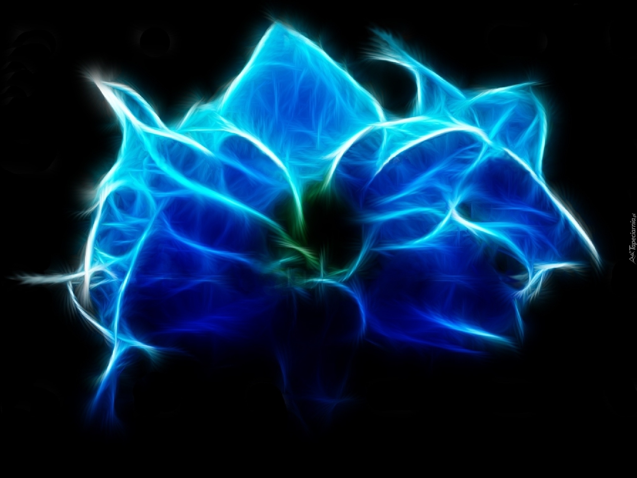 Niebieski, Kwiat, Fraktal