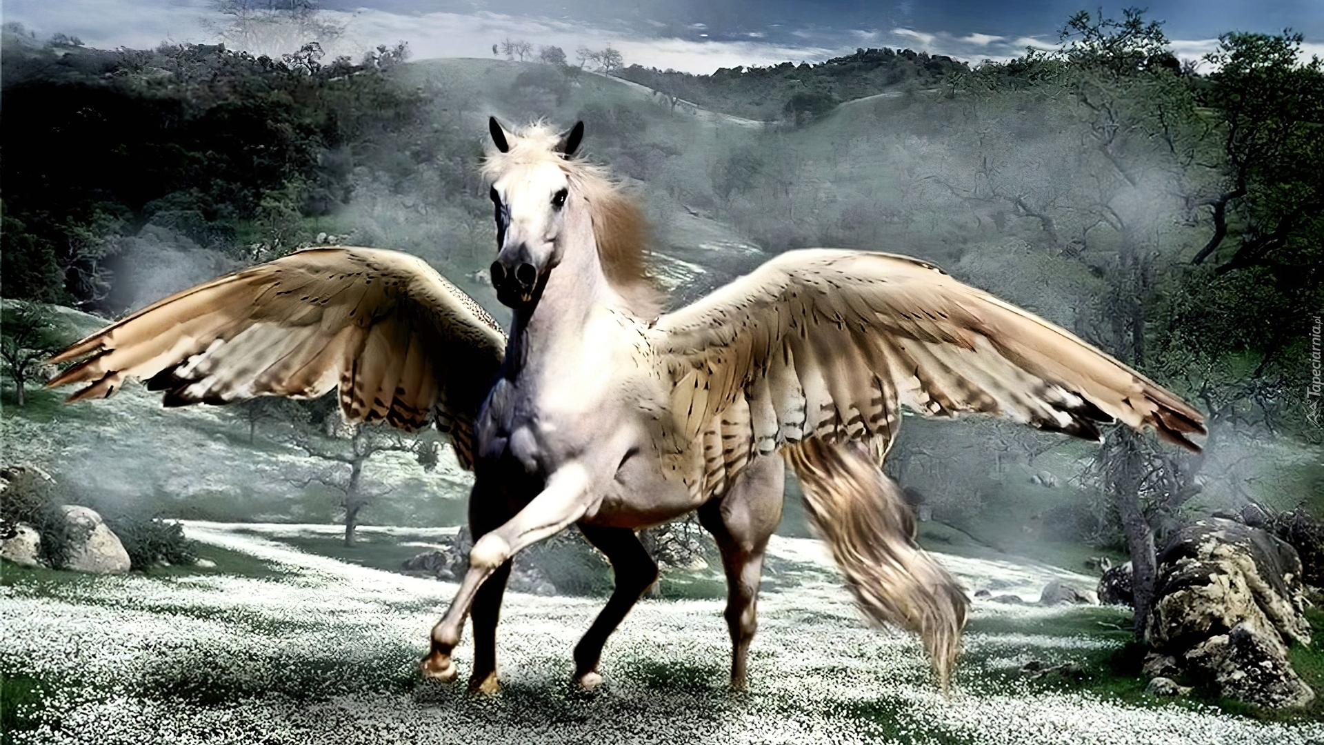 Отец крылатого коня пегаса. Мифический крылатый конь Пегас. Абраксанский крылатый конь. Пегас конь. Пегас и Горгона.