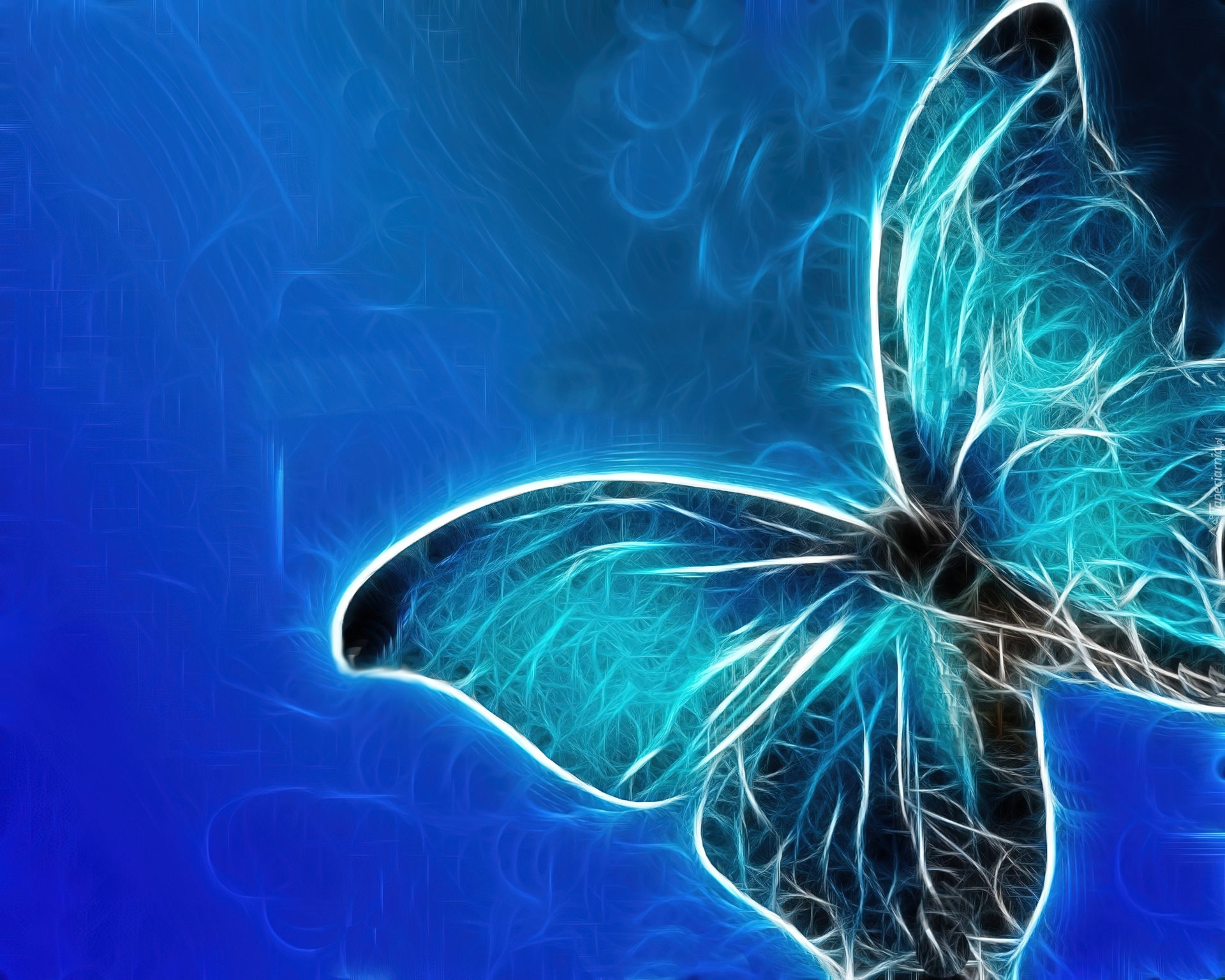 Motyl, Niebieski, Fraktal