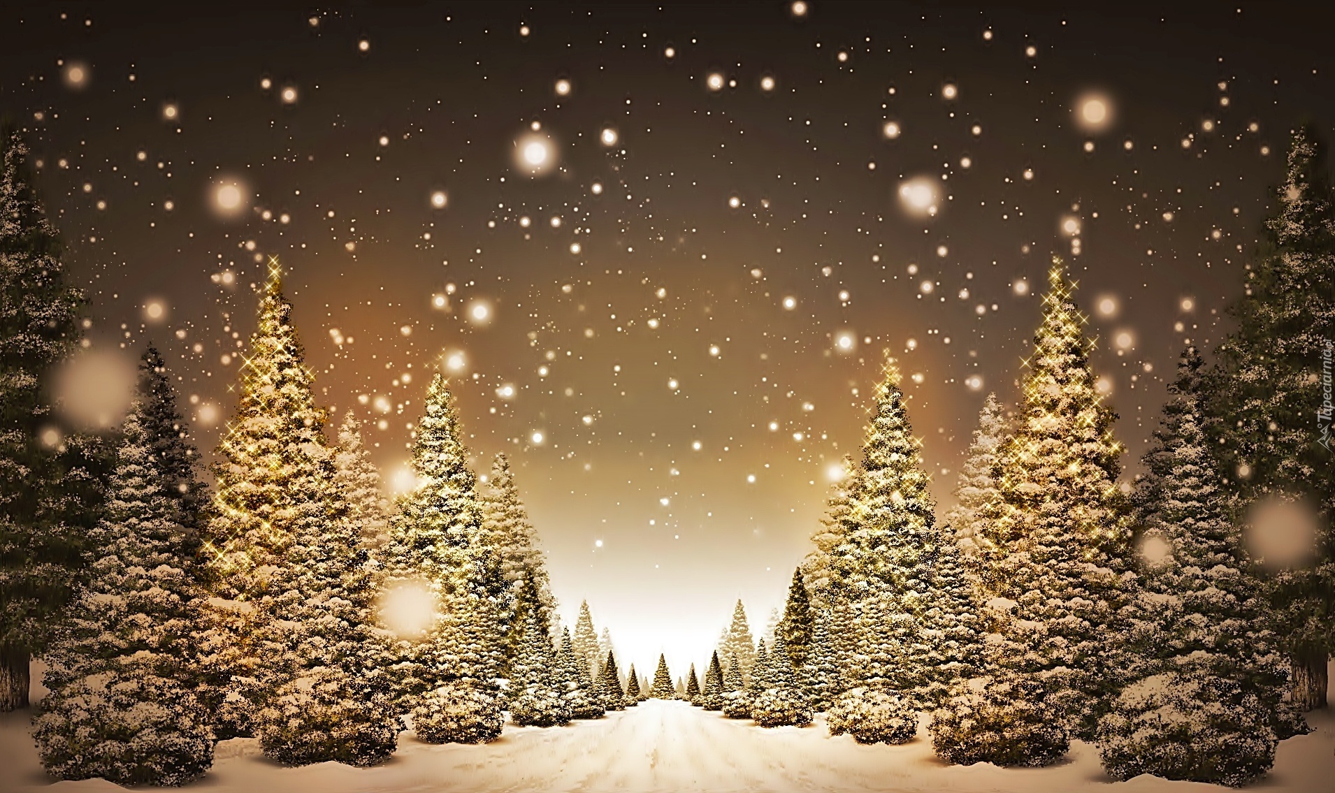 Choinki, Boże, Narodzenie, Śnieg