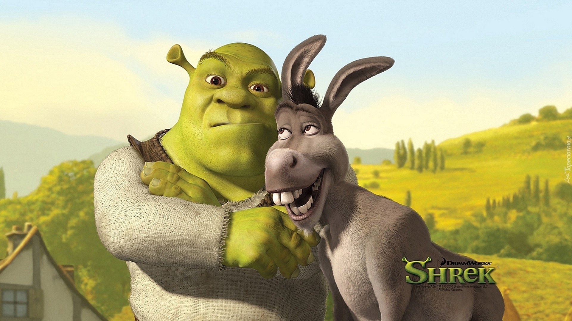 Shrek, Osioł