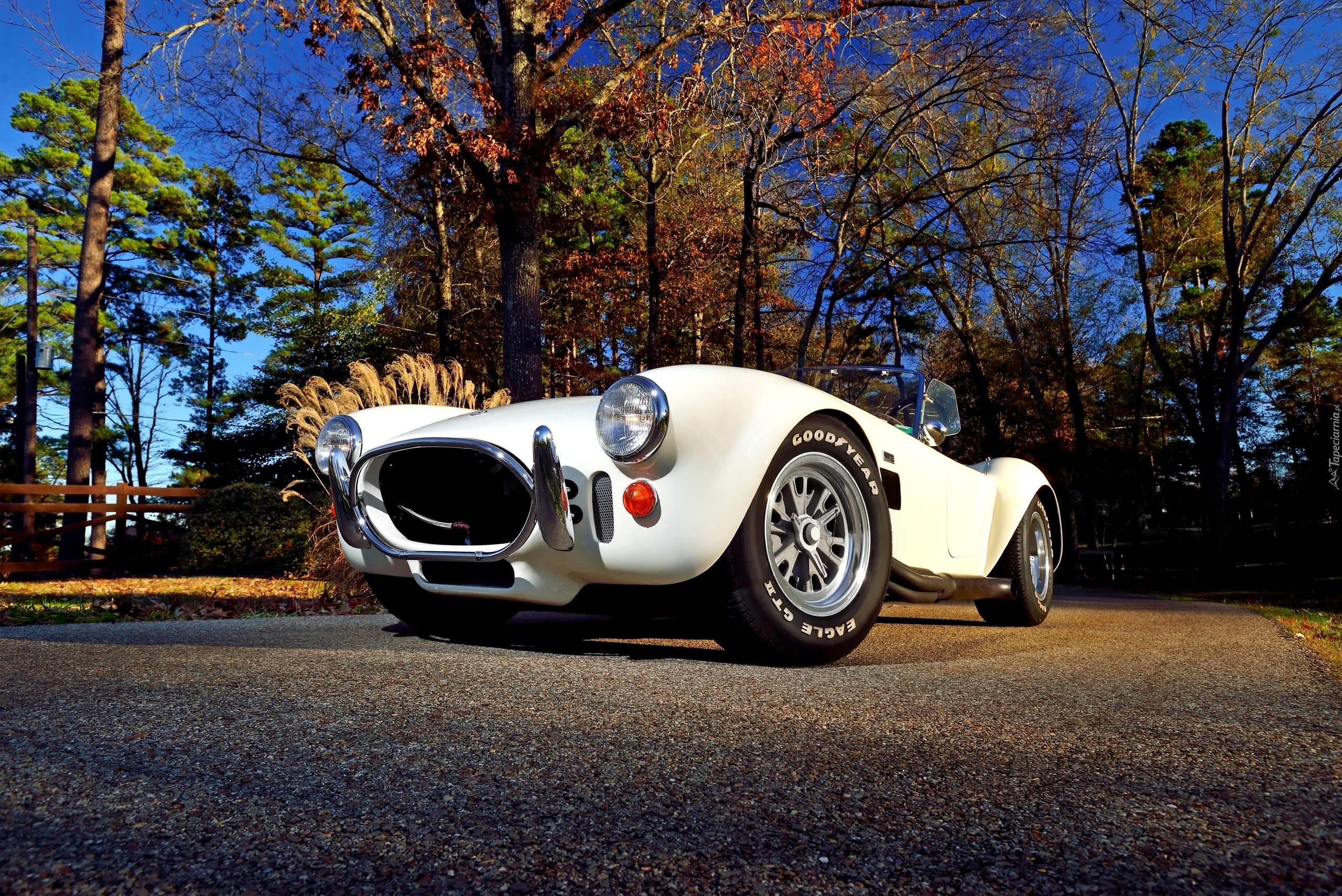 Zabytkowy, AC Cobra 427, Shelby, 1967