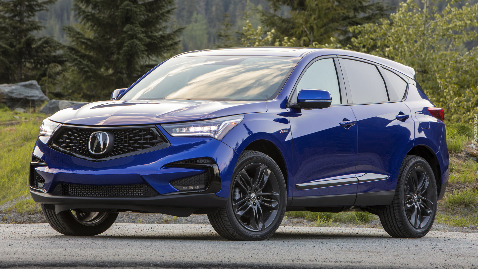 Acura RDX A
