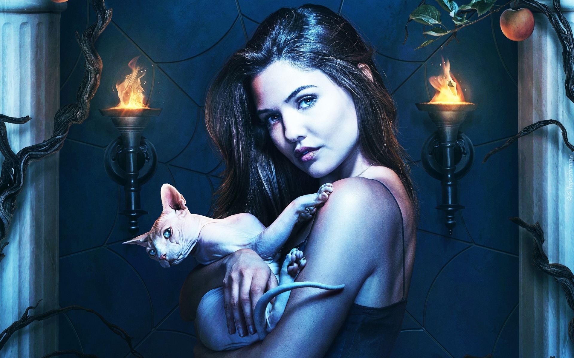 Danielle Campbell, Serial, The Originals, Kobieta, Kot, Sfinks doński