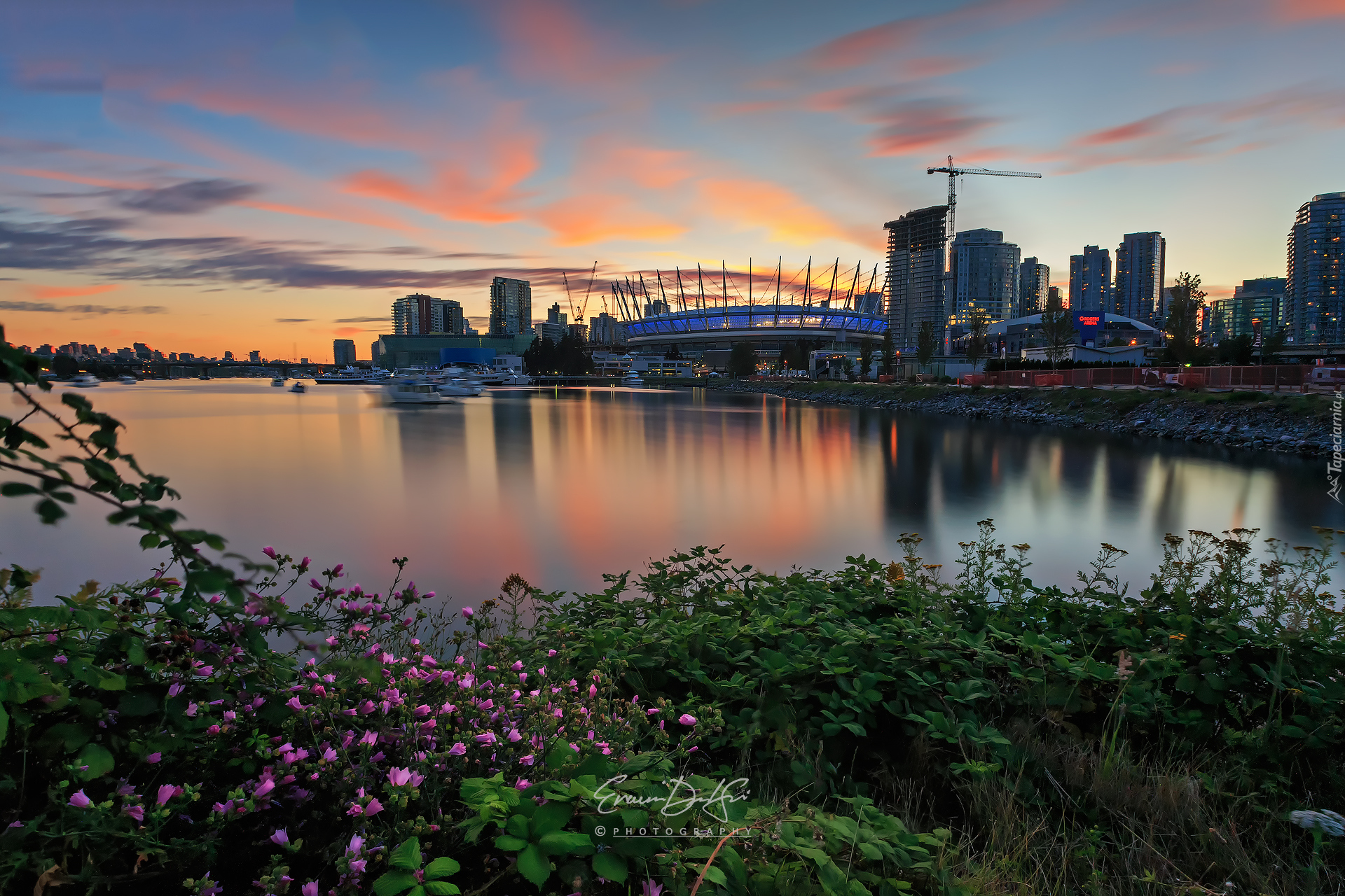 Kanada, Vancouver, Akwen, False Creek, Stadion BC Place Stadium, Wieżowce, Roślinność