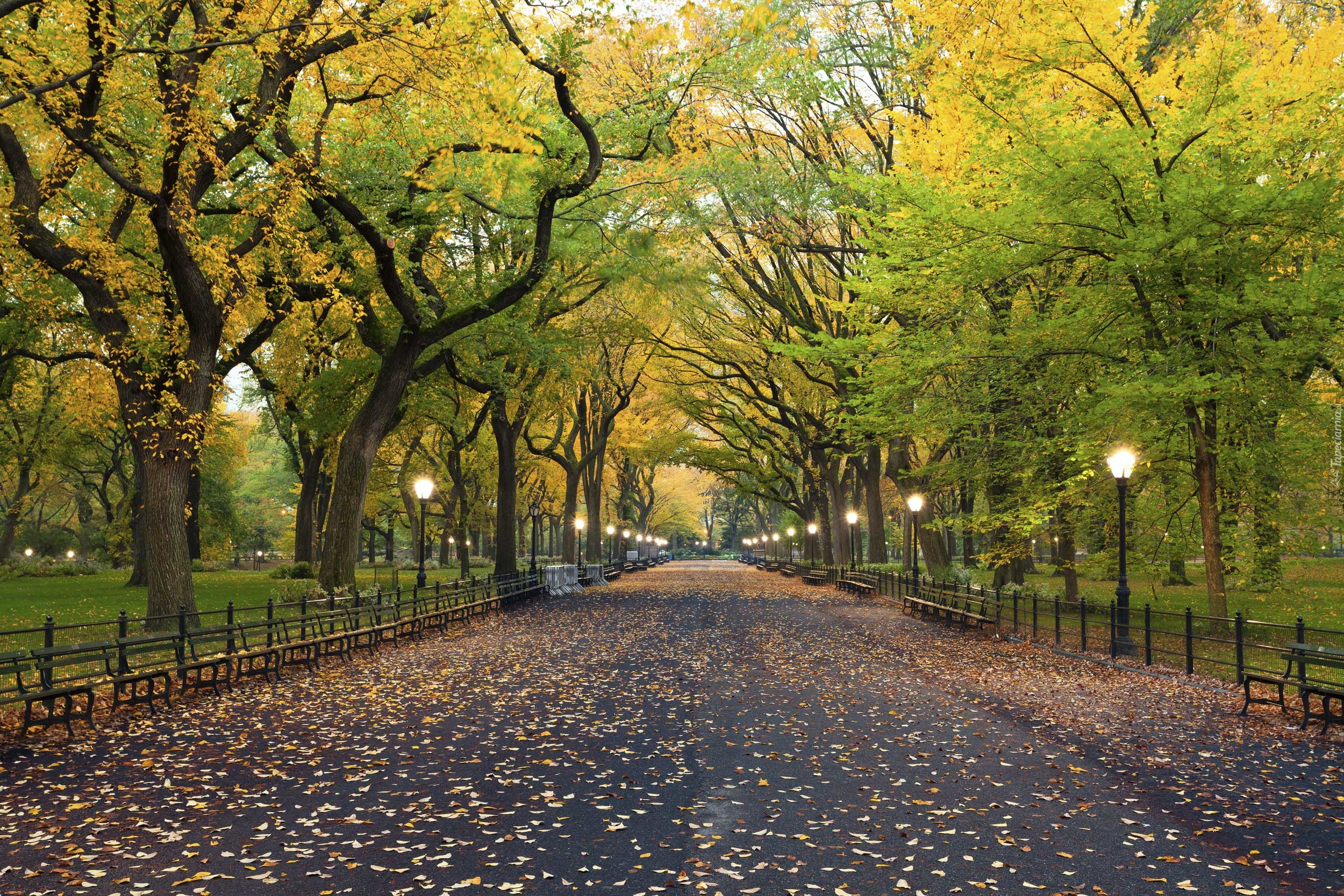 Stany Zjednoczone, Nowy Jork, Central Park, Ławki, Latarnie, Jesień, Alejka