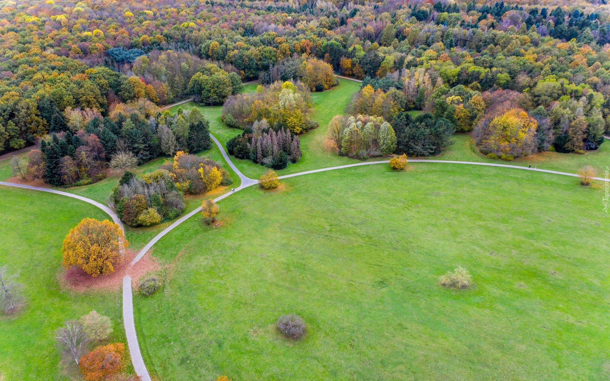 Park, Alejki, Drzewa, Ścieżki, Z lotu ptaka