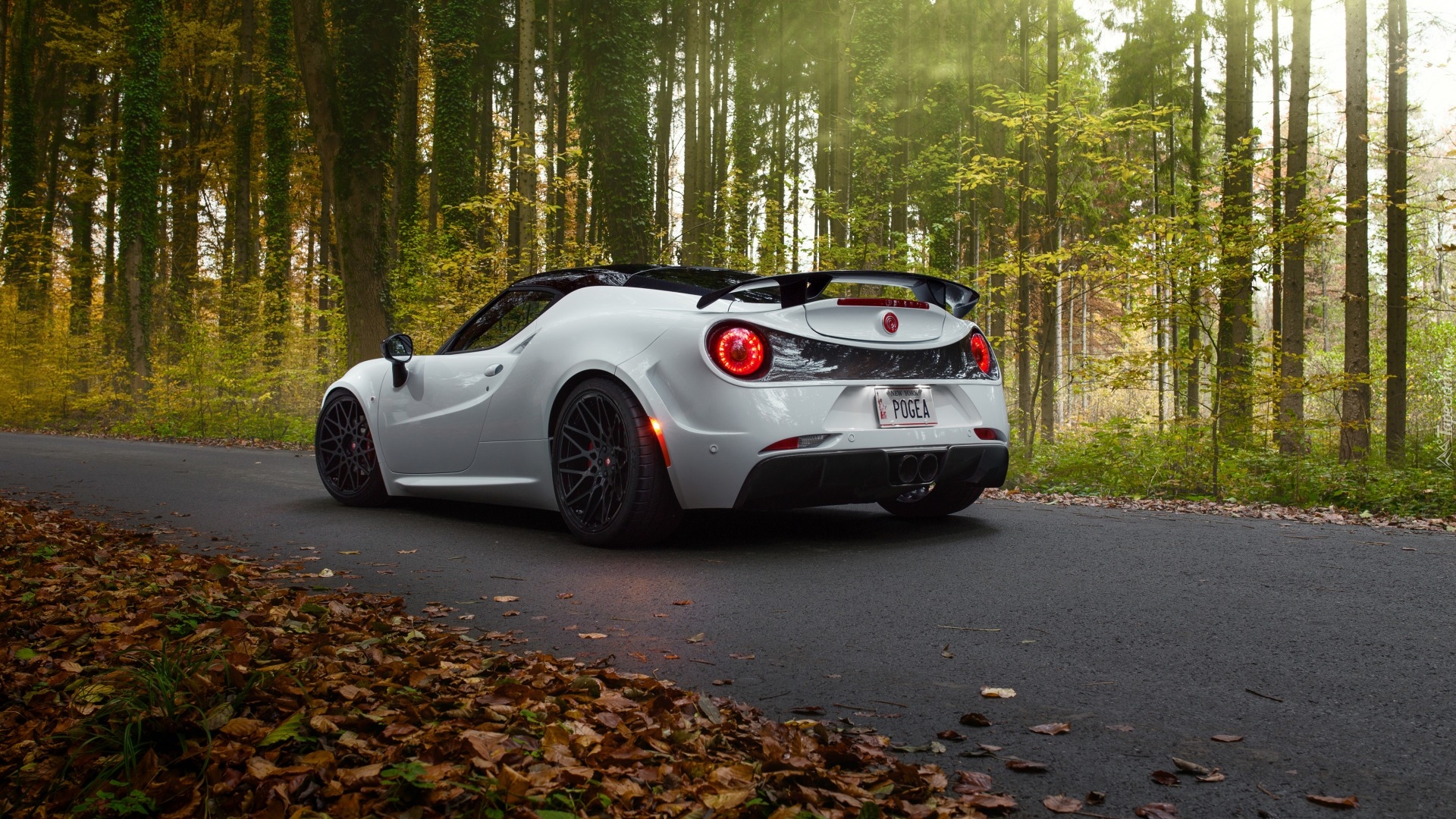 Alfa Romeo 4C, Pogea Racing Centurion, 2015, Droga, Las