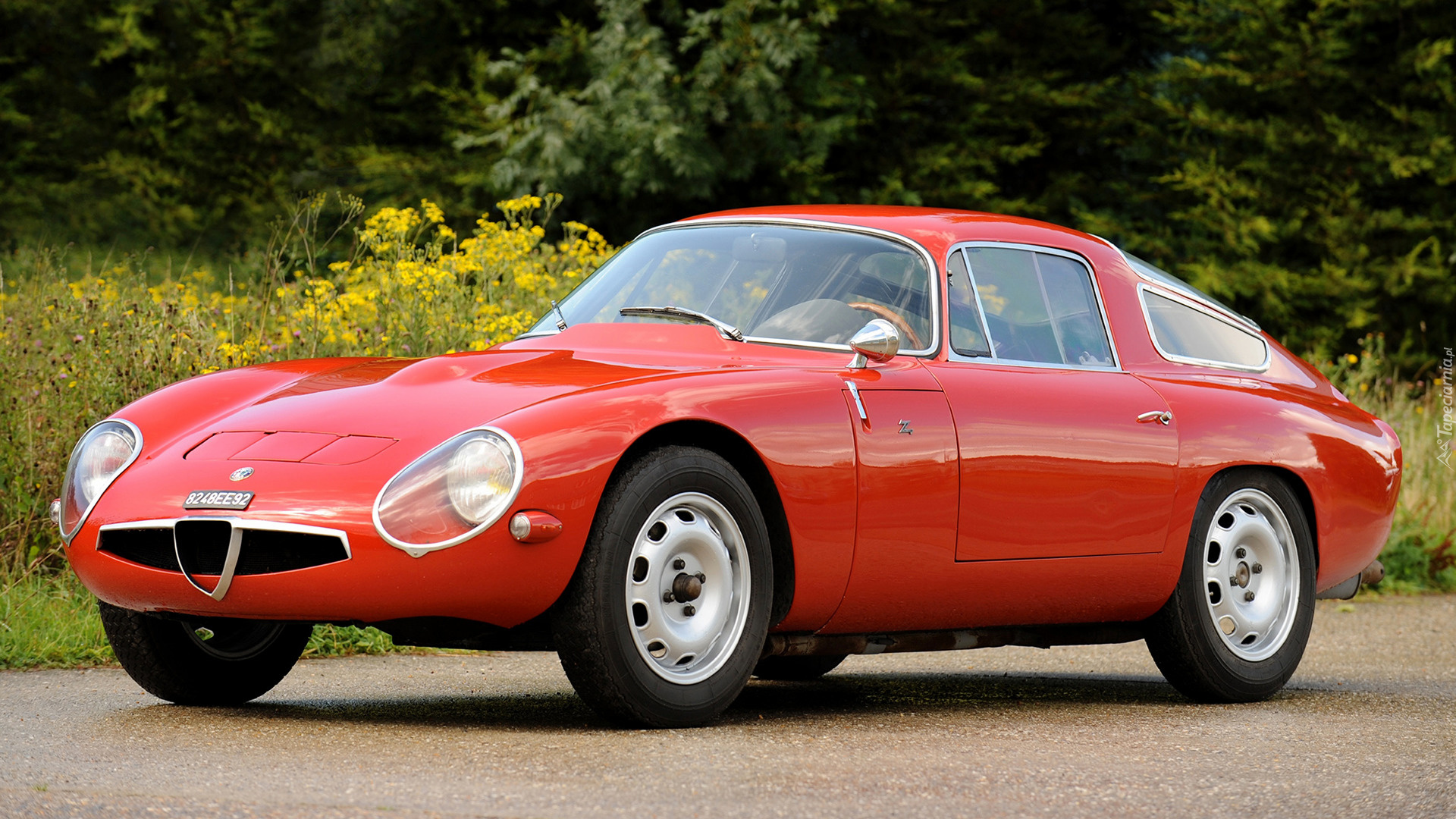 Alfa Romeo Giulia TZ, Zabytkowe, 1965