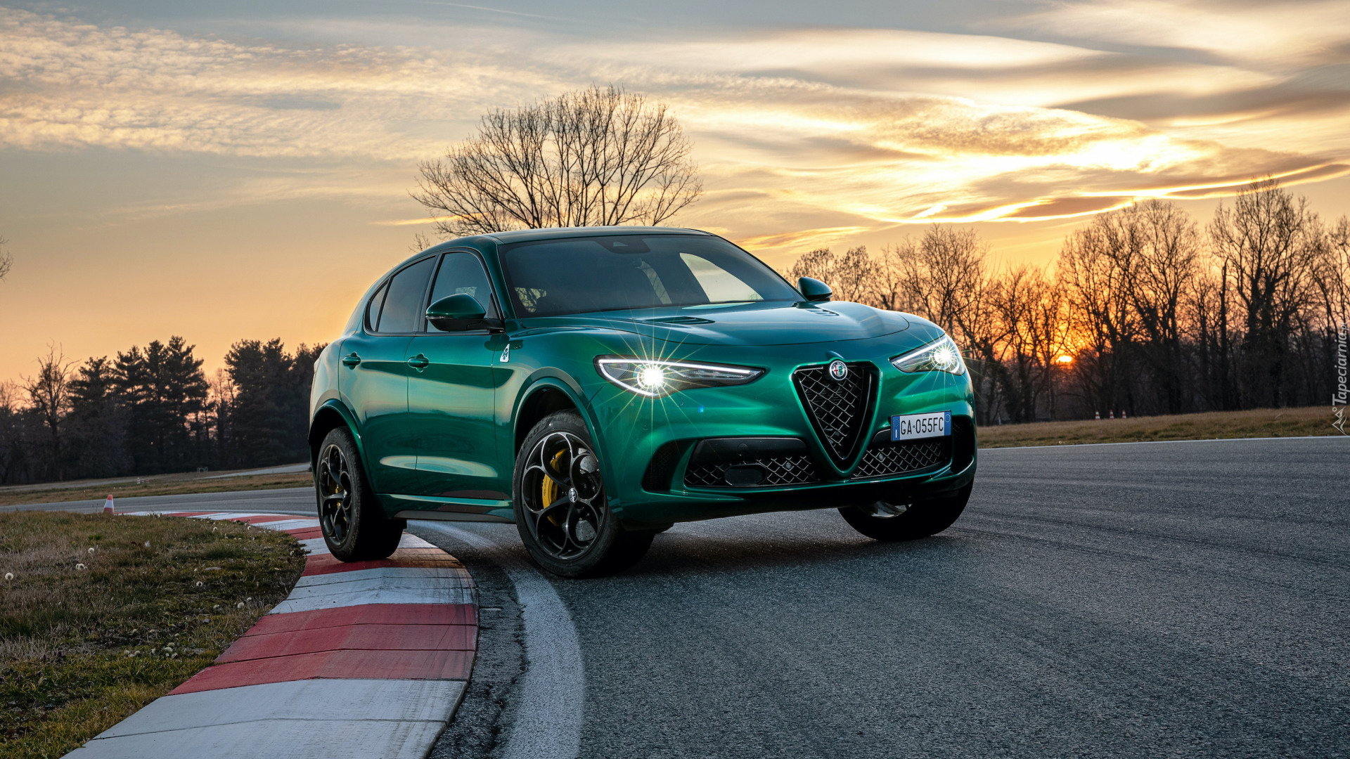 Alfa Romeo Stelvio Quadrifoglio, 2020