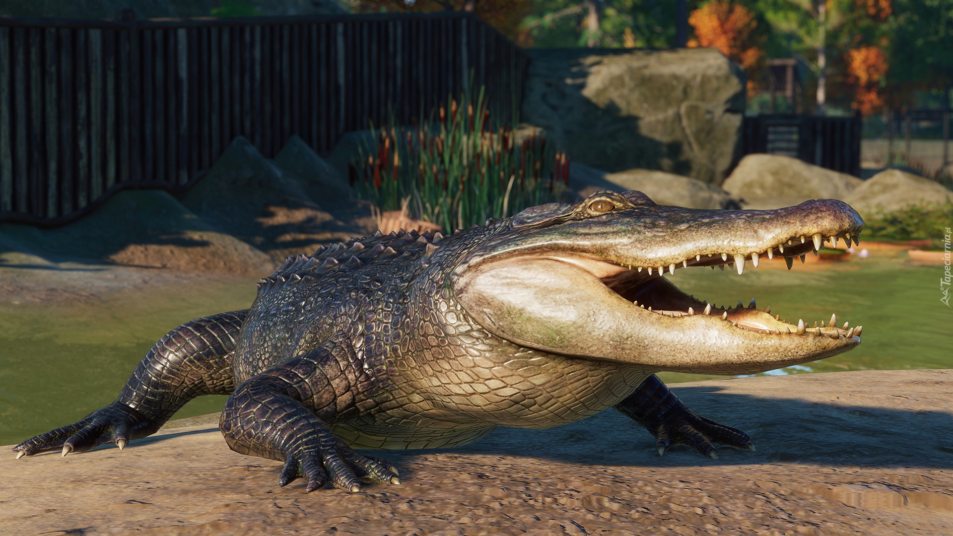 Aligator, Gra, Planet Zoo