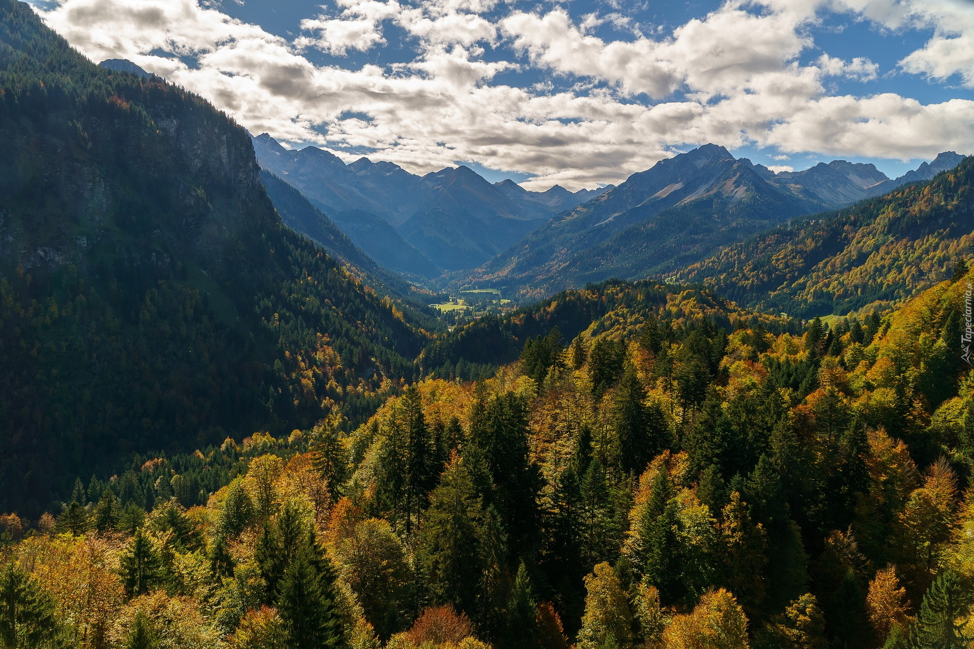Oberstdorf, Góry, Alpy Algawskie, Lasy, Drzewa, Dolina, Bawaria, Niemcy