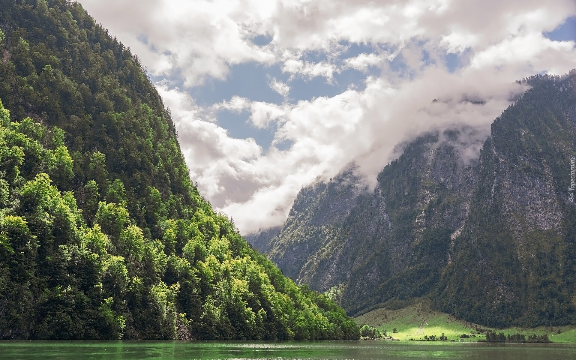Park Narodowy Berchtesgaden, Góry, Alpy Berchtesgadeńskie, Drzewa, Jezioro Konigssee, Bawaria, Niemcy