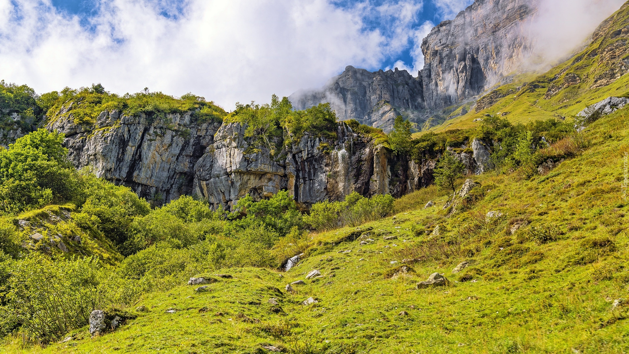 Skały, Drzewa, Mgła, Przełęcz, Klausenpass, Góry, Alpy Glarneńskie, Szwajcaria