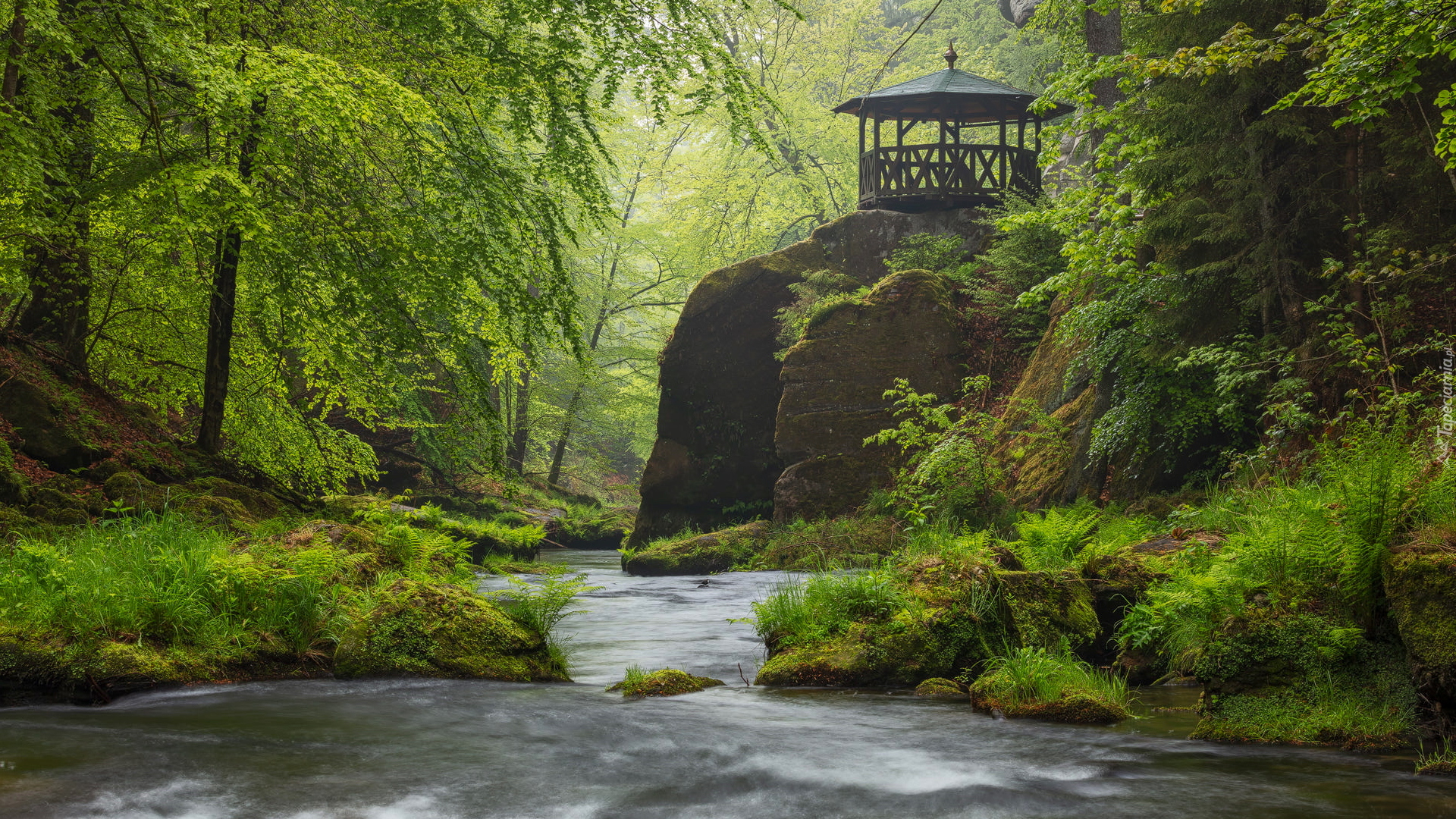 Las, Zielone, Drzewa, Skała, Altana, Rzeka Kamienica, Park Narodowy Czeska Szwajcaria, Czechy