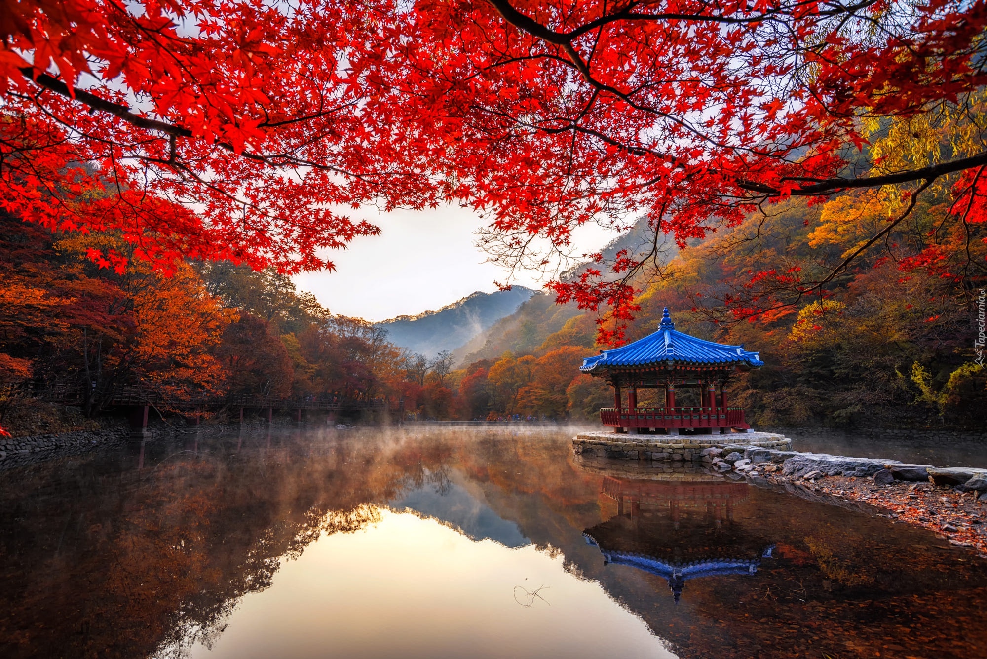 Park Narodowy Naejangsan, Drzewa, Staw, Altana, Jesień, Jeongeup, Korea Południowa