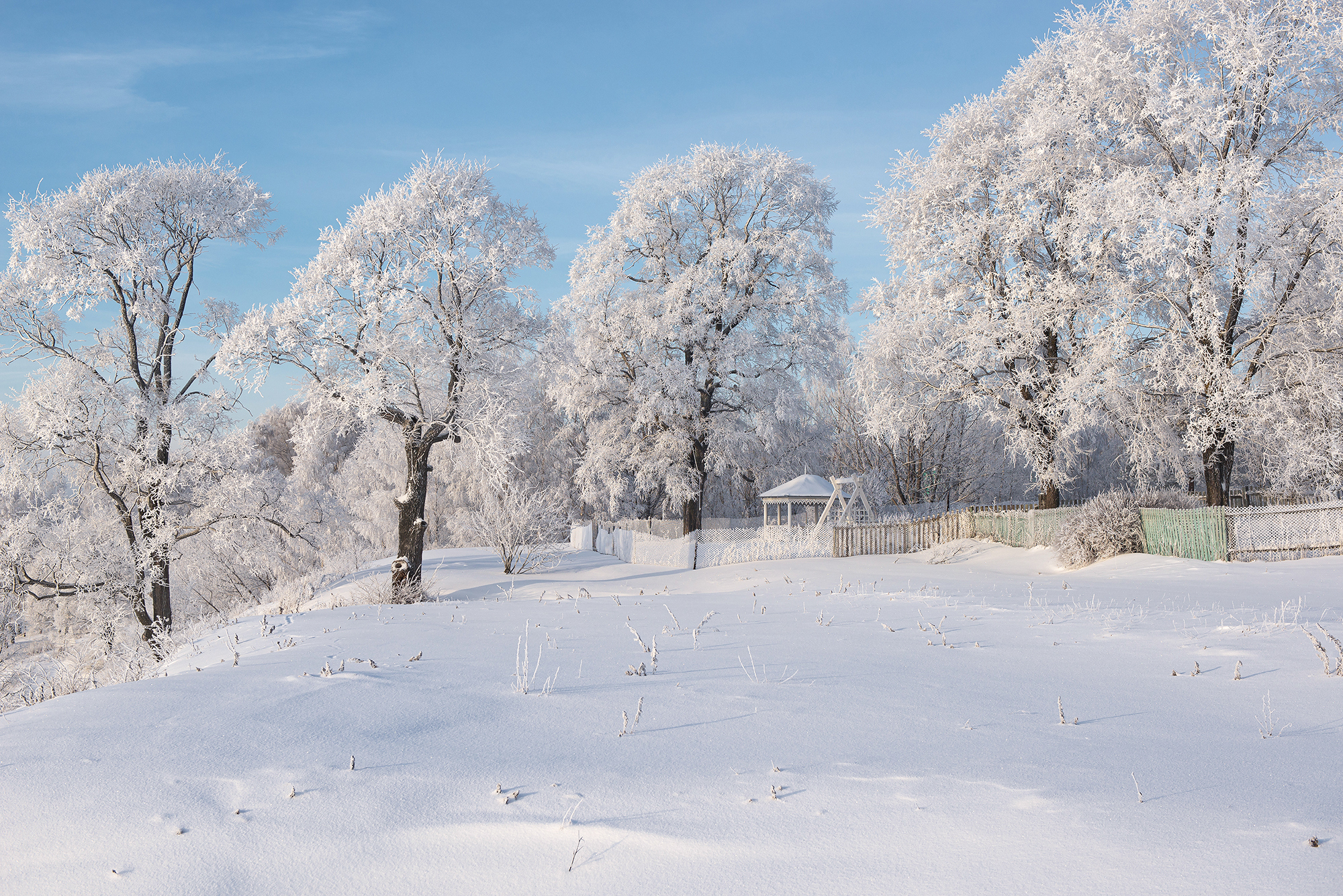 Zima, Ośnieżone, Drzewa, Altana