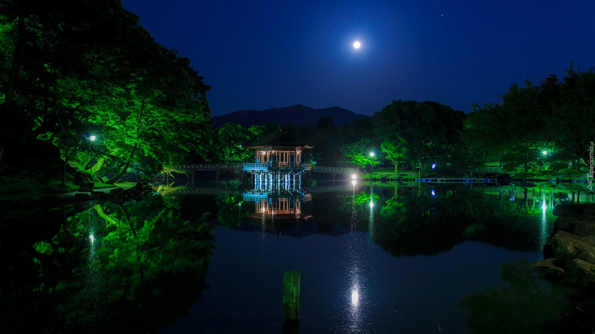 Japonia, Wyspa Honsiu, Miasto Nara, Nara Park, Altana Ukimido Pavilion, Staw, Księżyc, Noc, Drzewa, Odbicie