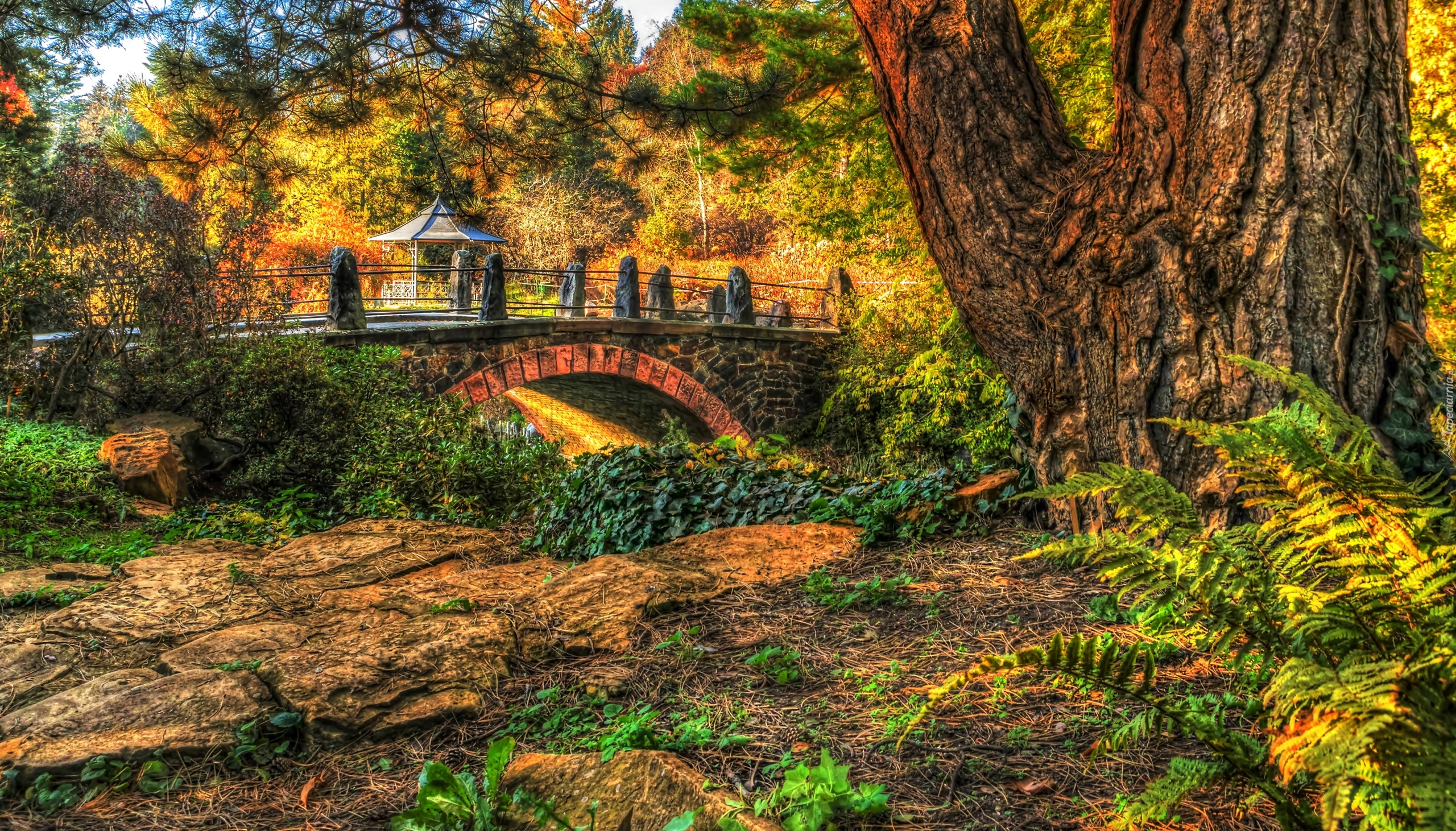 Jesień, Park, Most, Altanka, HDR, Drzewa