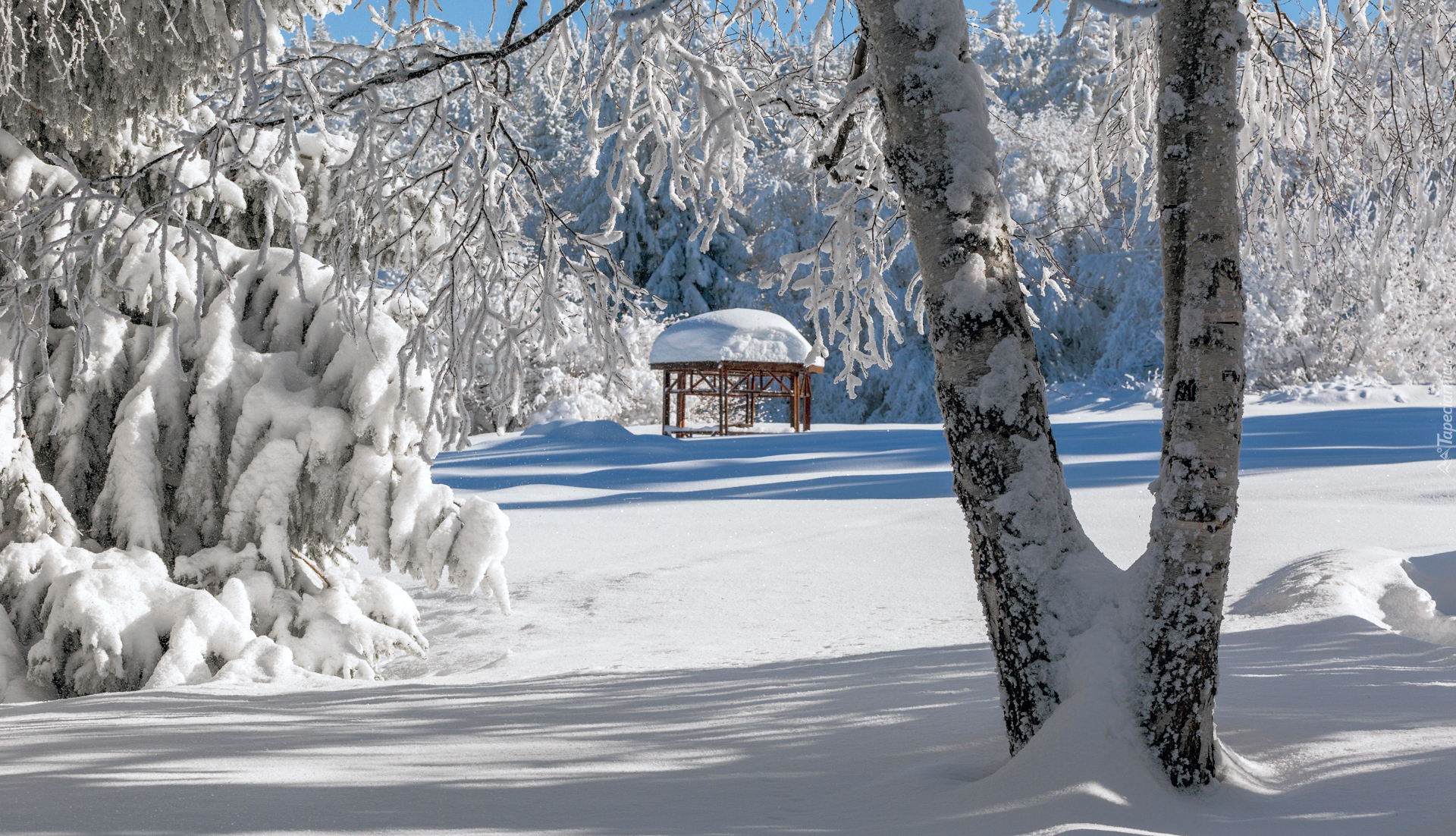 Zima, Śnieg, park, Drzewa, Altanka