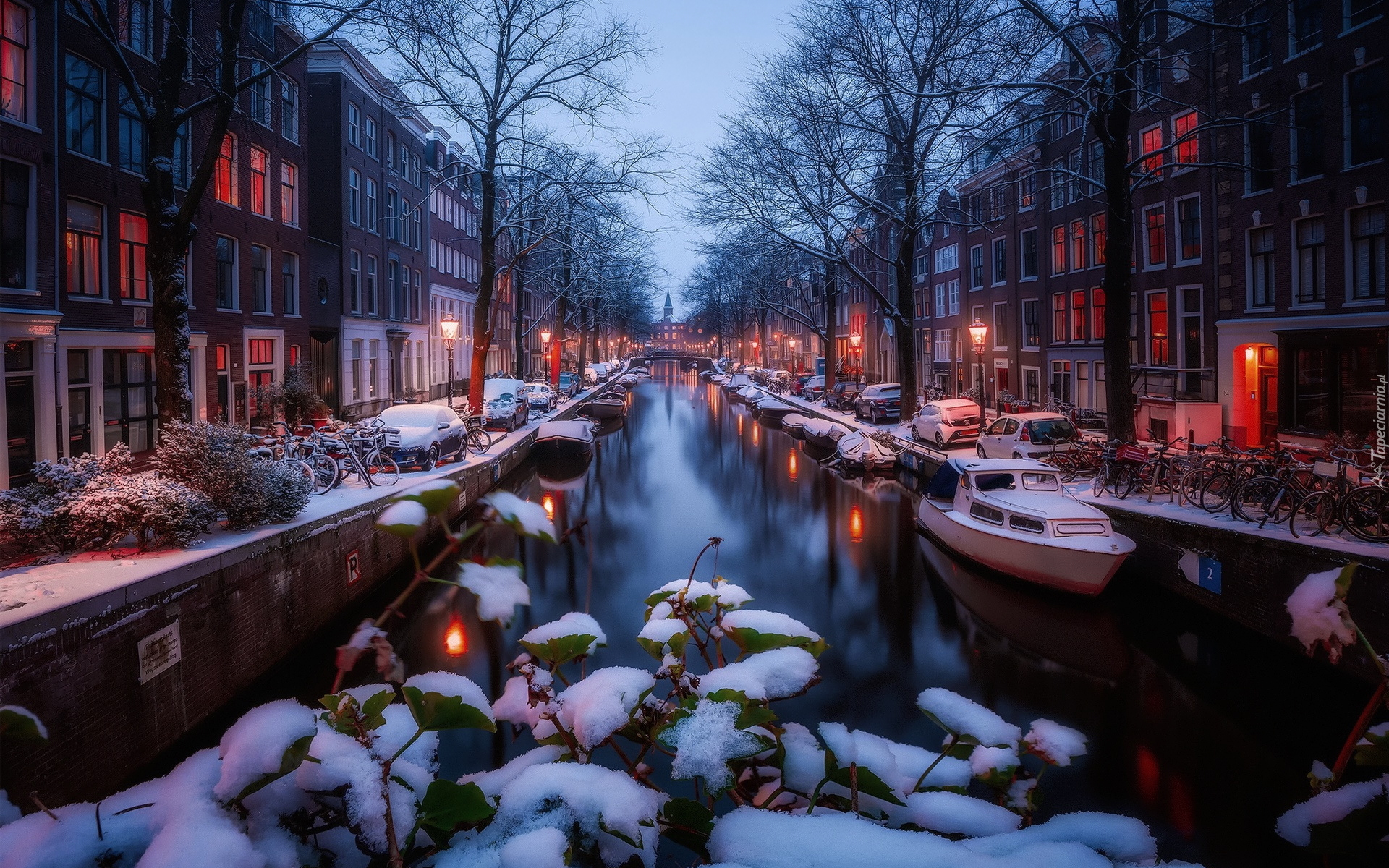 Zima, Śnieg, Kanał, Domy, Amsterdam, Holandia