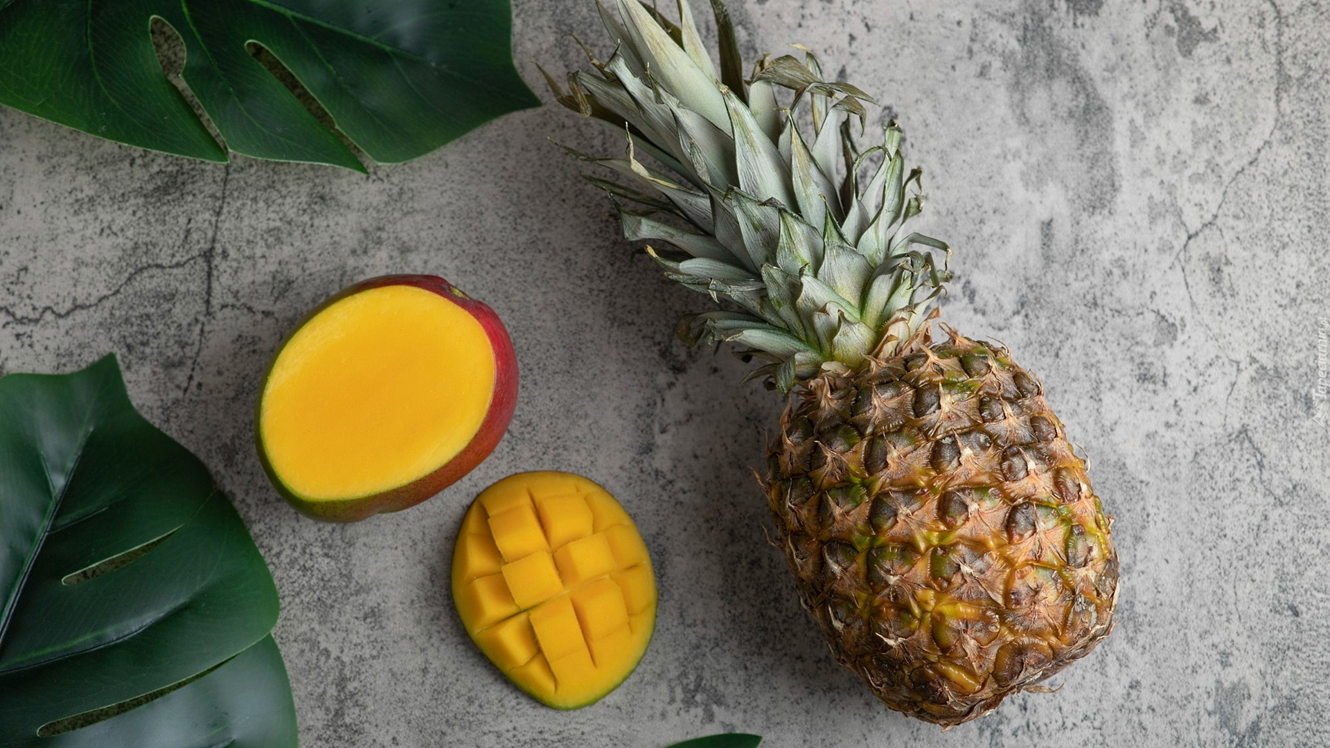 Ananas, Mango, Liście