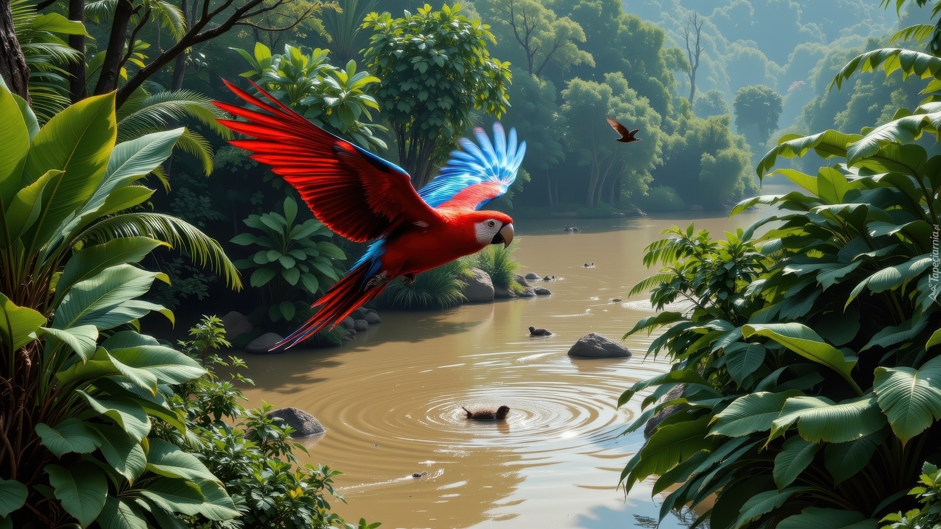 Rzeka, Fruwająca, Papuga, Ara, Lot, Zielone, Rośliny