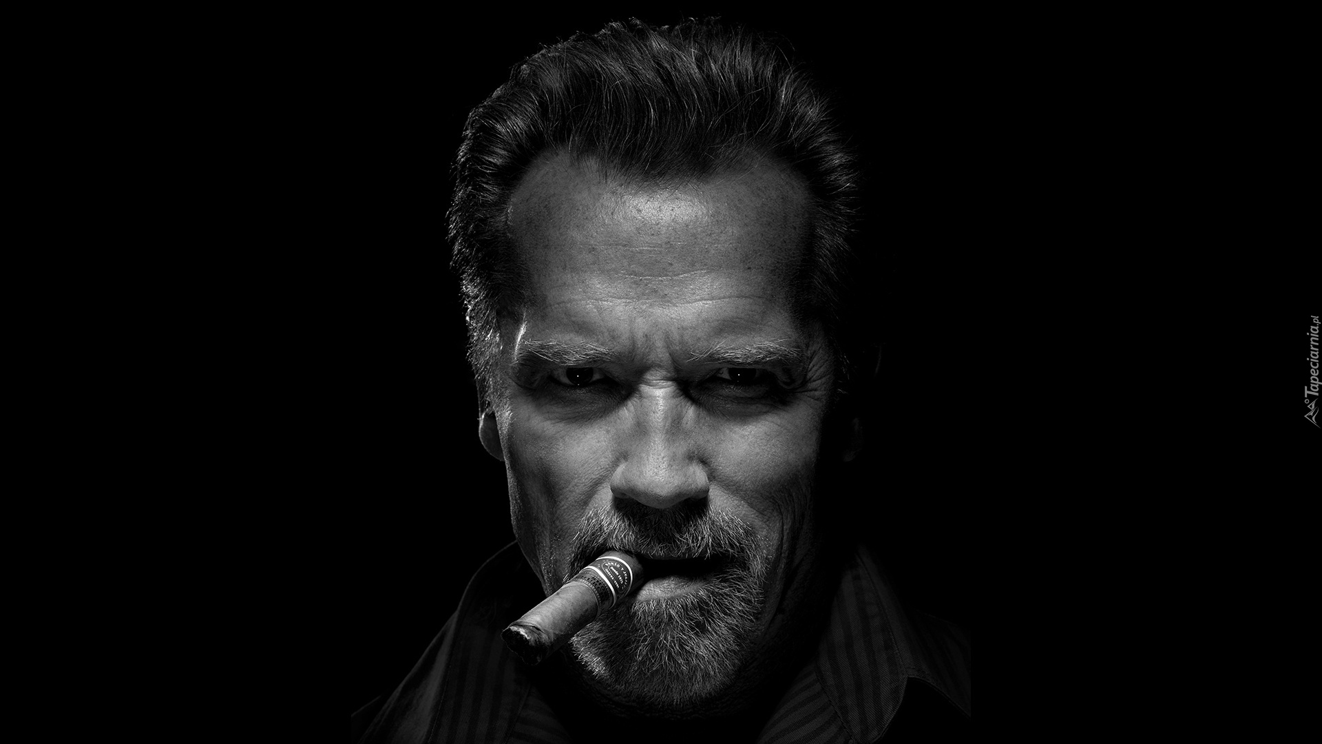 Mężczyzna, Aktor, Arnold Schwarzenegger, Cygaro