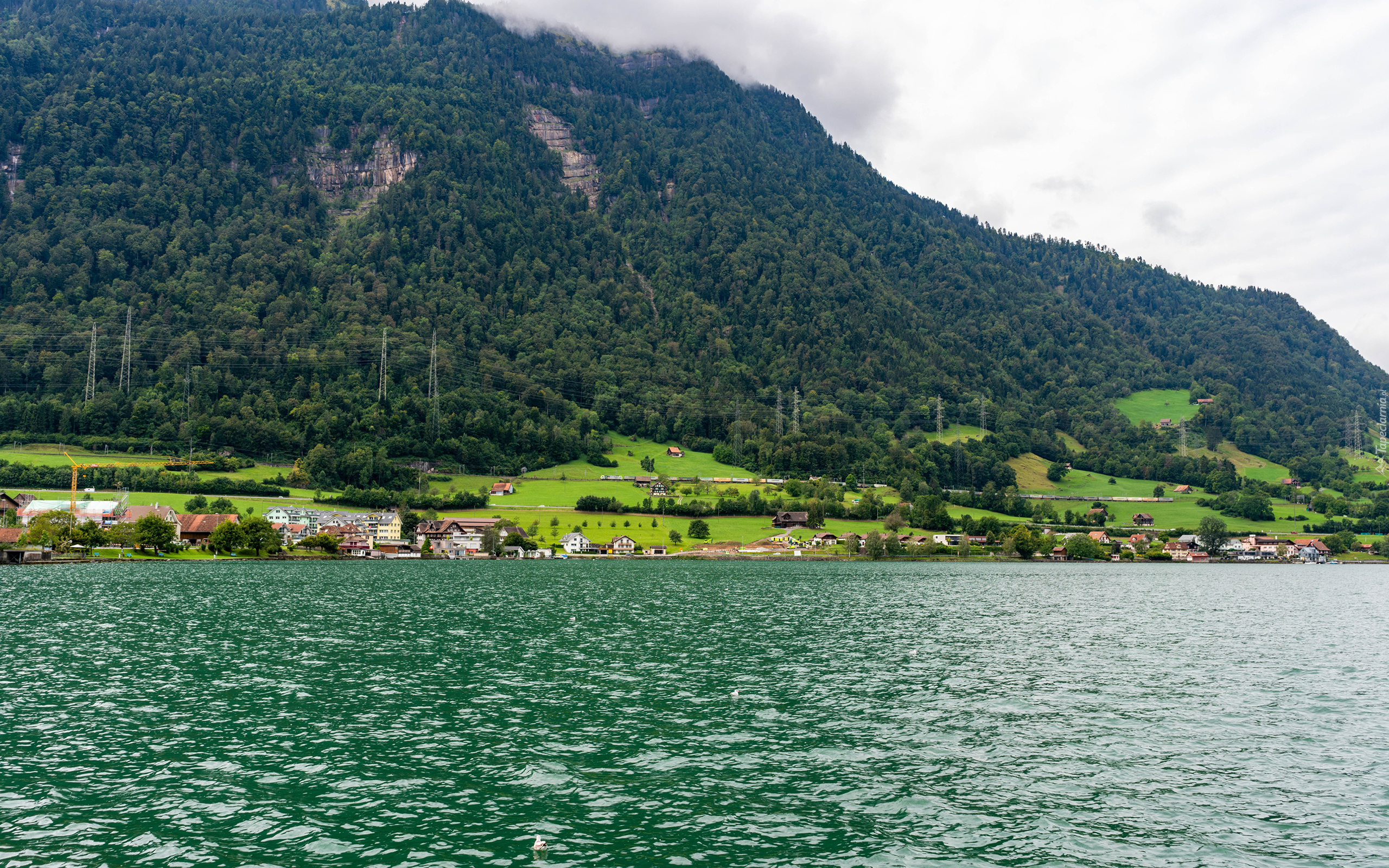 Szwajcaria, Kanton Schwyz, Arth, Jezioro Zugersee, Góry, Lasy, Domy