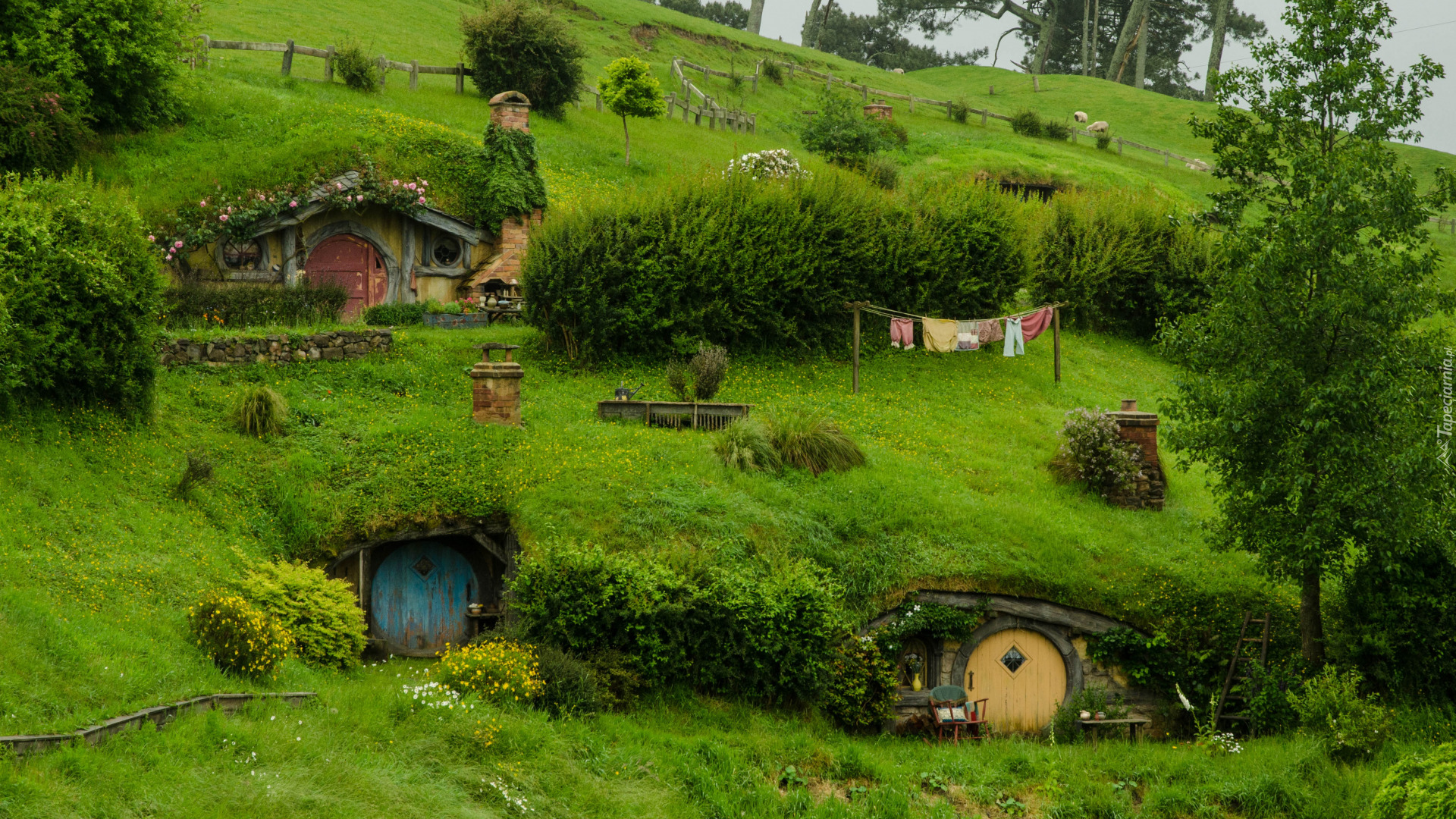 Plan filmowy Hobbiton, Atrakcja turystyczna, Wzgórze, Domy, Hobbit, Miejscowość Matamata, Nowa Zelandia