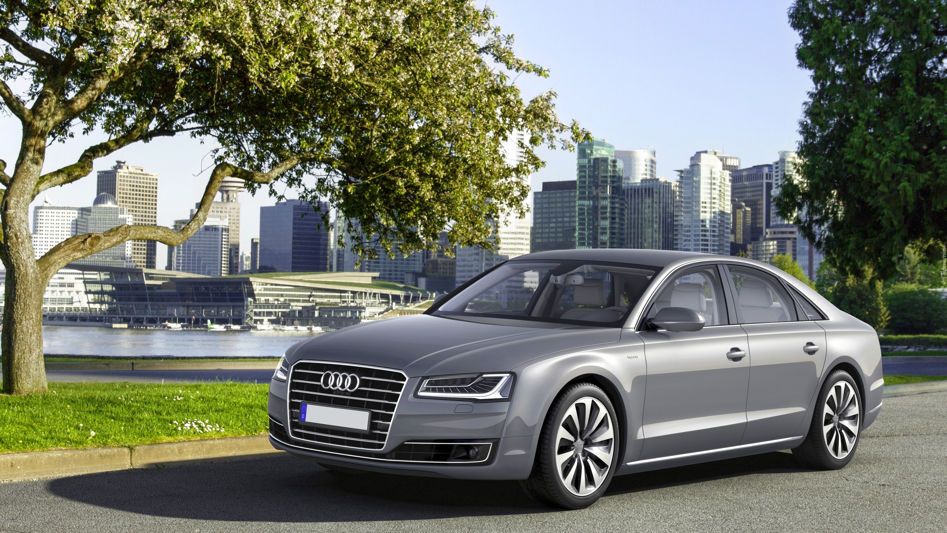 Srebrne, Audi A8 L